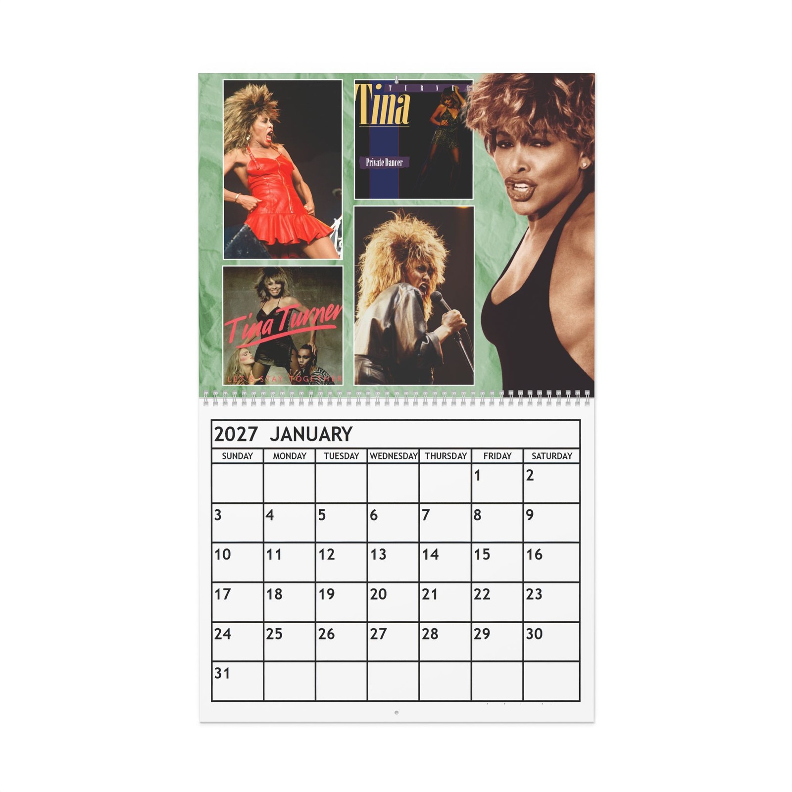 Tina Turner 2027 Wall Calendar – Home Decor, Music Fan Gifts, Monthly