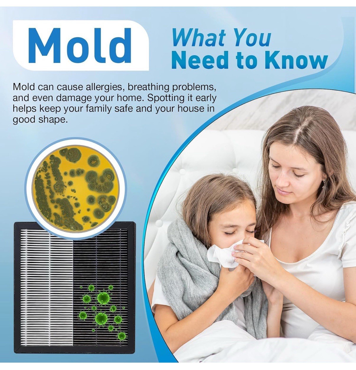 Mold Test Kit for Home