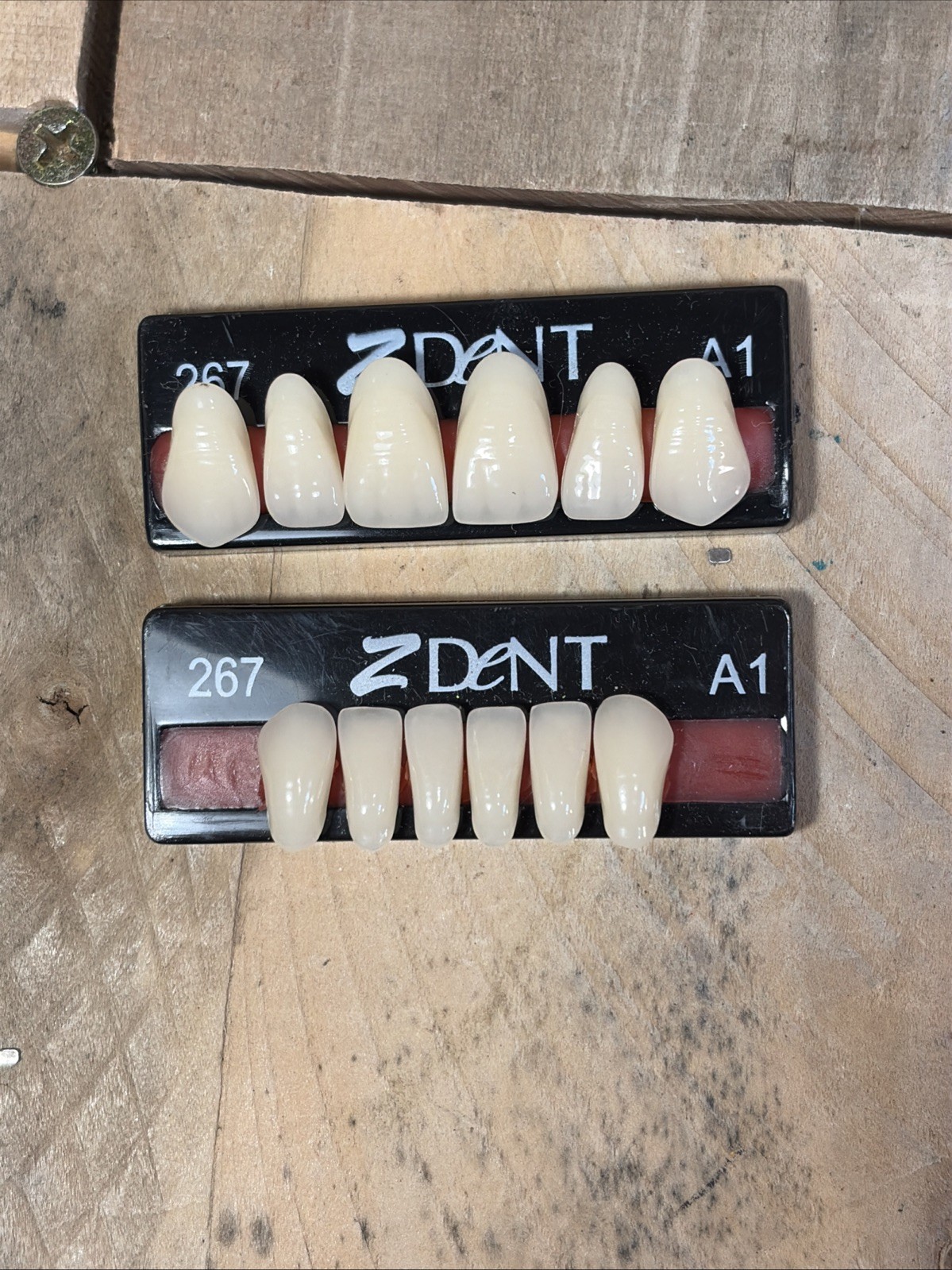 Z dent Synthetic Polymer False Teeth 2 Sets of 12 for 24 Total Size 266 267 A1