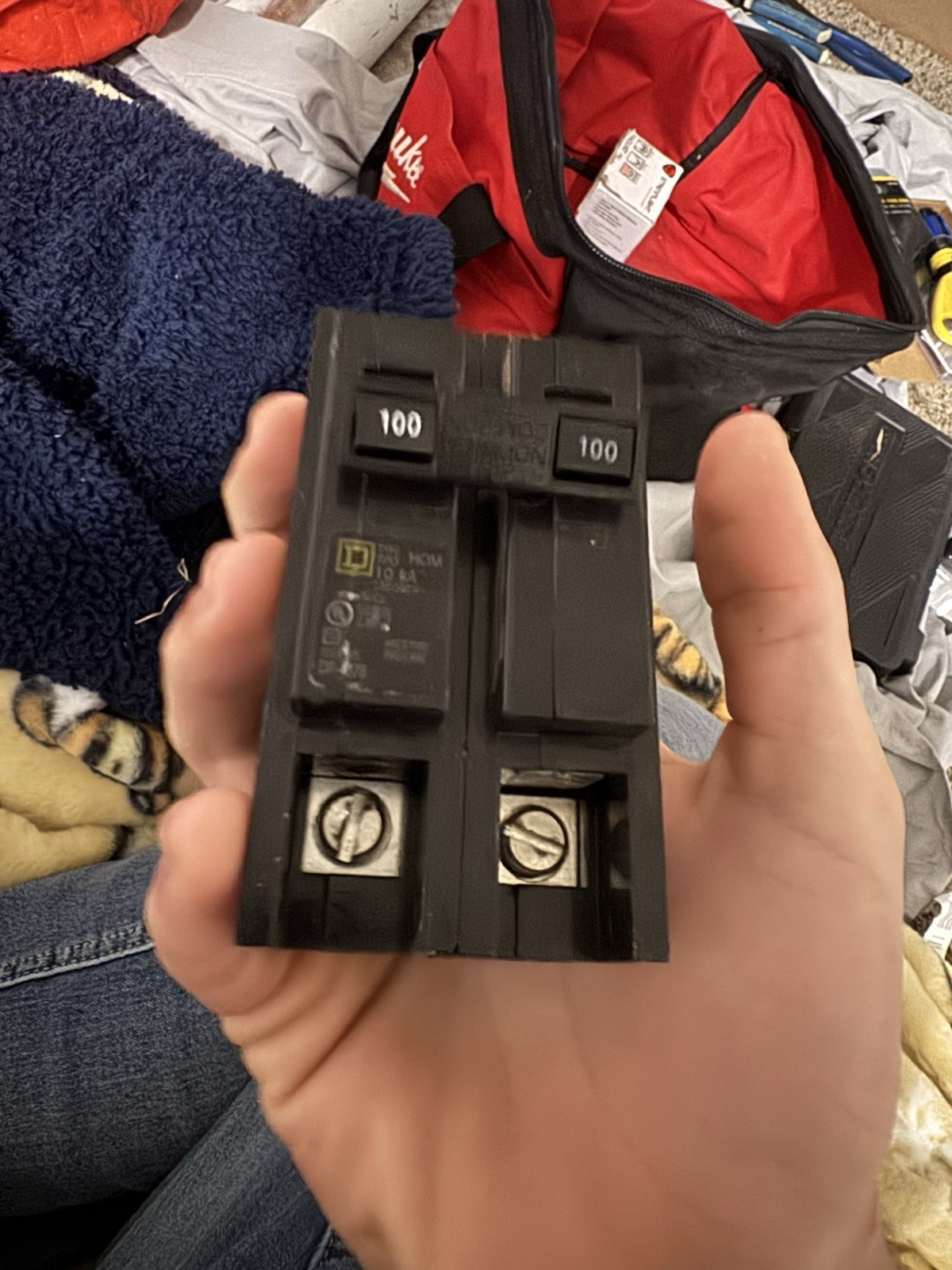 Square D HOM2100C 100 A Miniature Circuit Breaker