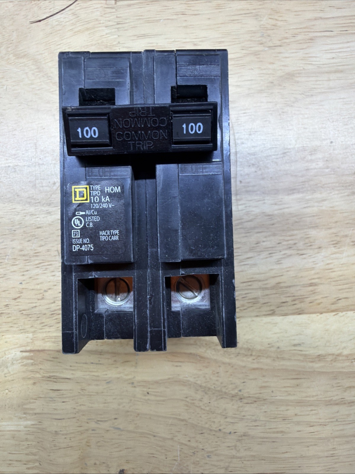 Square D HOM2100 2 Pole 100 Amp 240V Plug-in Circuit Breaker New In Box