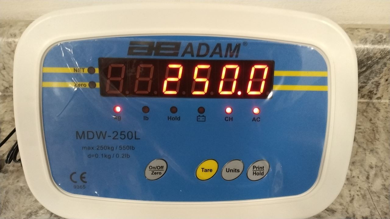 Adam Equipment MDW-250L 550 Lb Capacity Digital Physician Scale