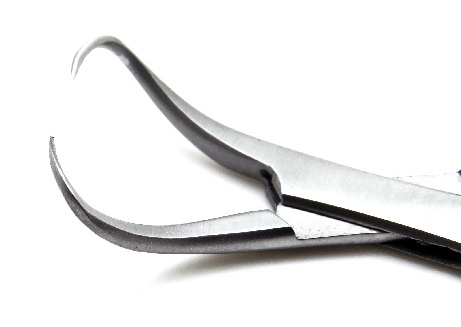 Veterinary Backhaus Towel Clamp forceps 3.5″ Stainless Steel Instruments