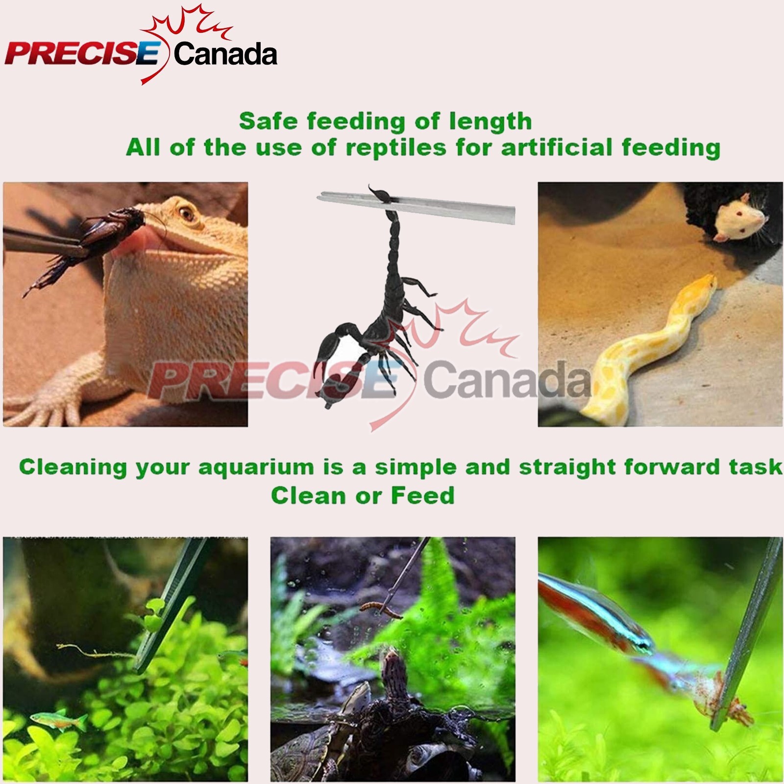 PRECISE CANADA 18 ” Huge Tweezers Thumb Dressing Forceps S.Steel