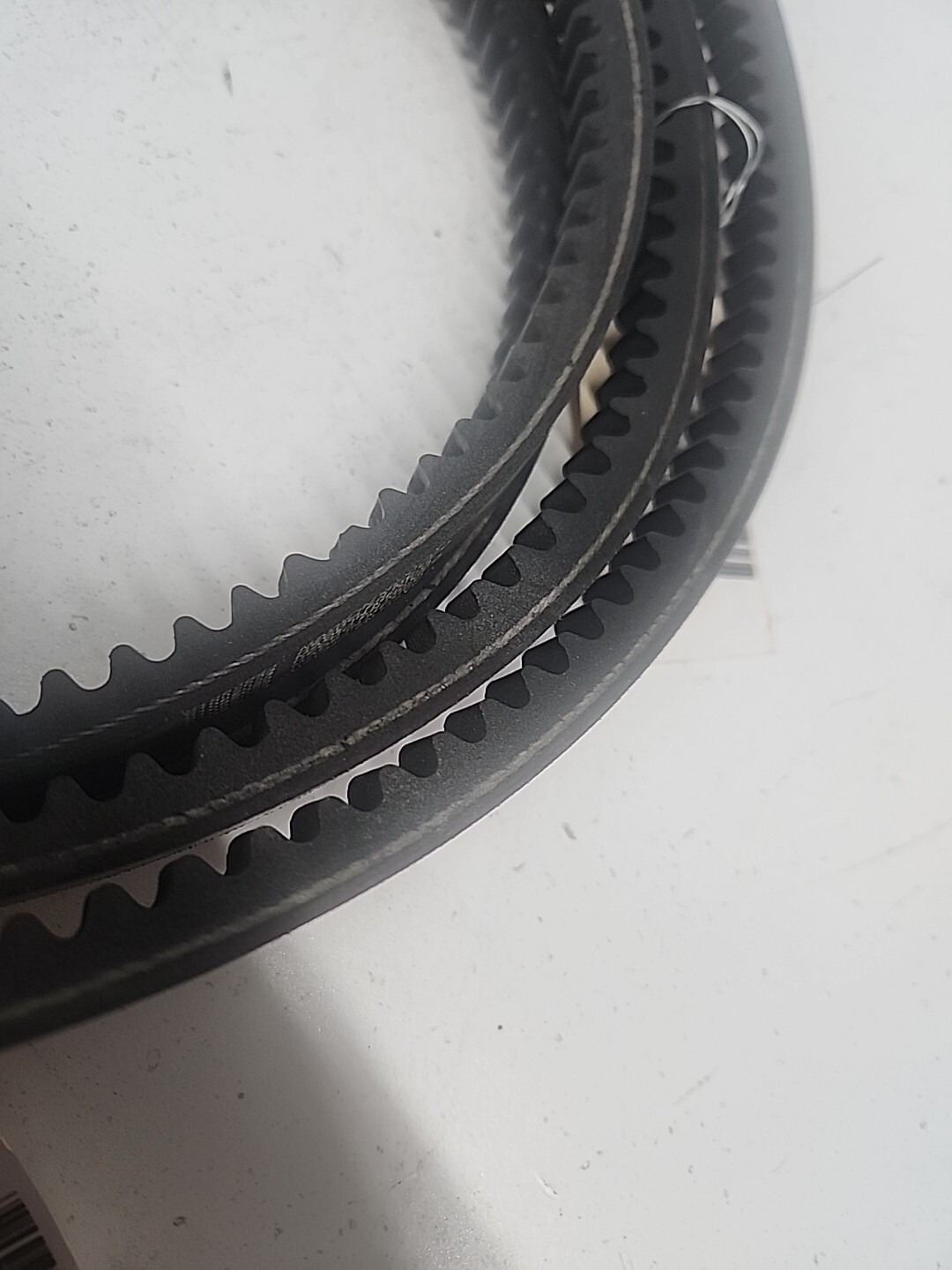 Continental BX36 Torque-Flex Belt -(3Pcs) **NOS** **FAST SHIPPING**