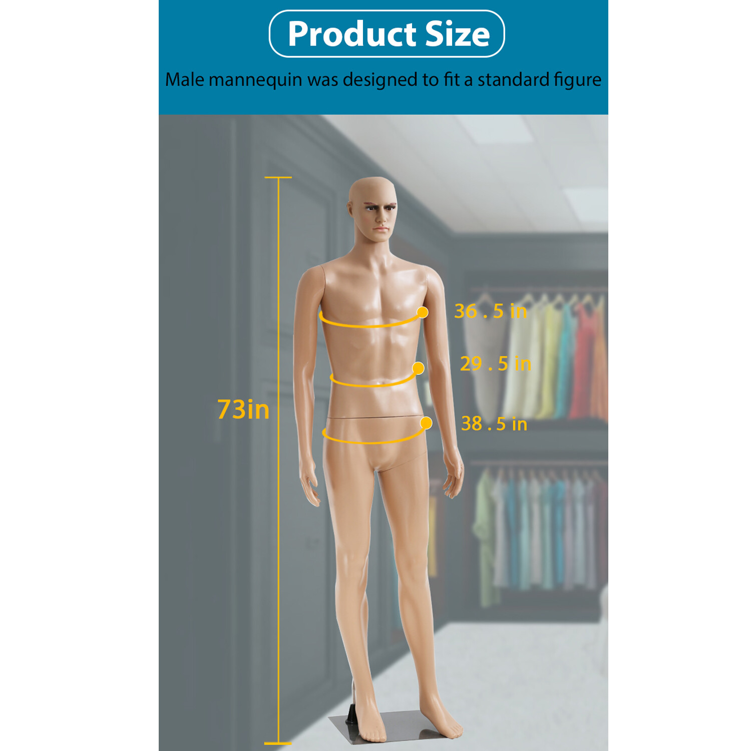 Male Mannequin Full Body Dress Form Sewing Dress Model Mannequin Stand 73 inch
