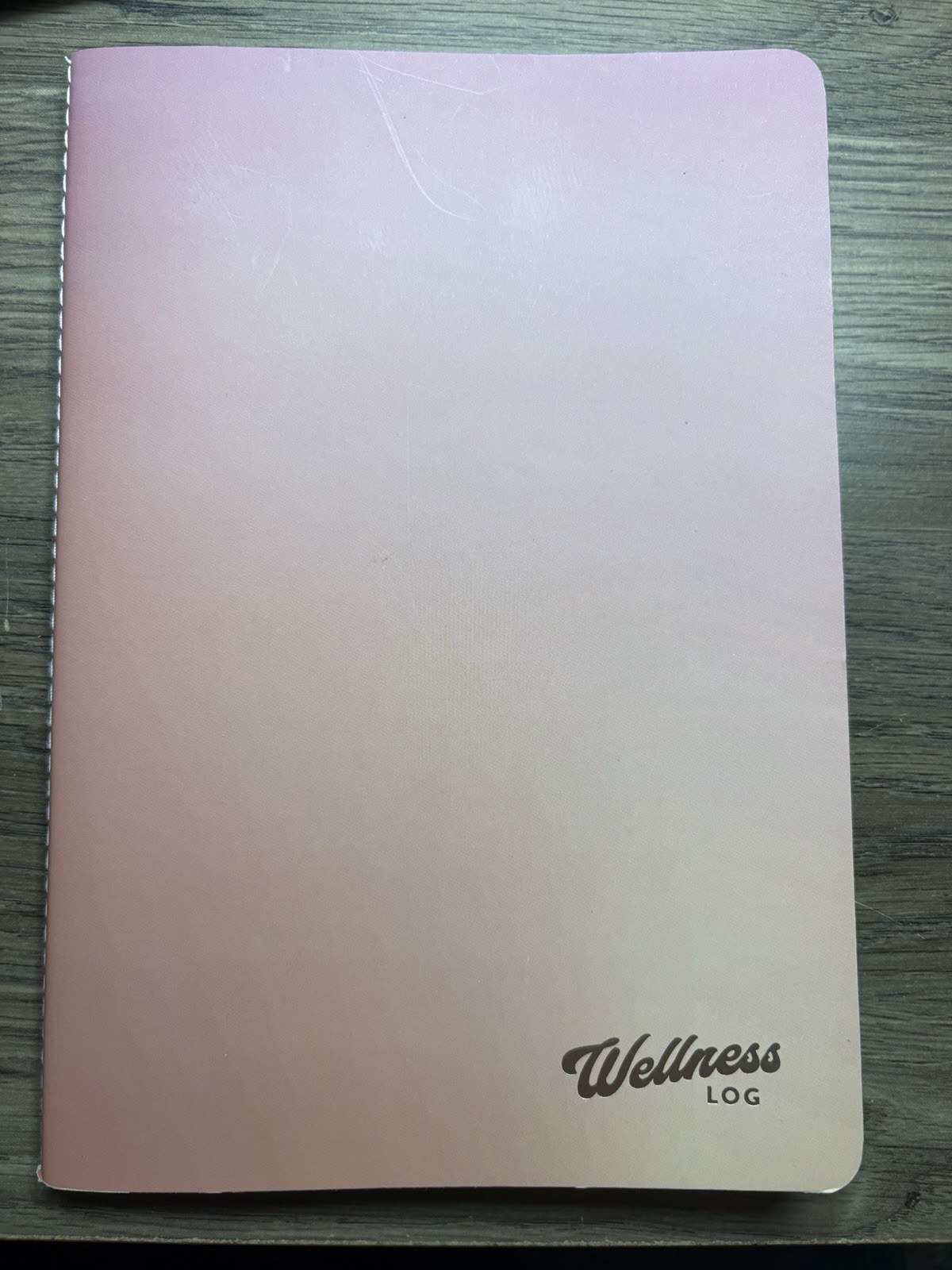 Erin Condren Wellness Log Journal Petite Planner Exercise Food Log Habit Track