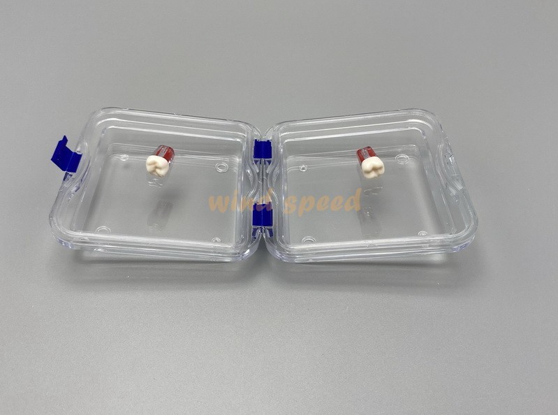 10x Denture False Inlay Teeth Membrane Case Hinged Display Jewelry Box 10x10x4cm