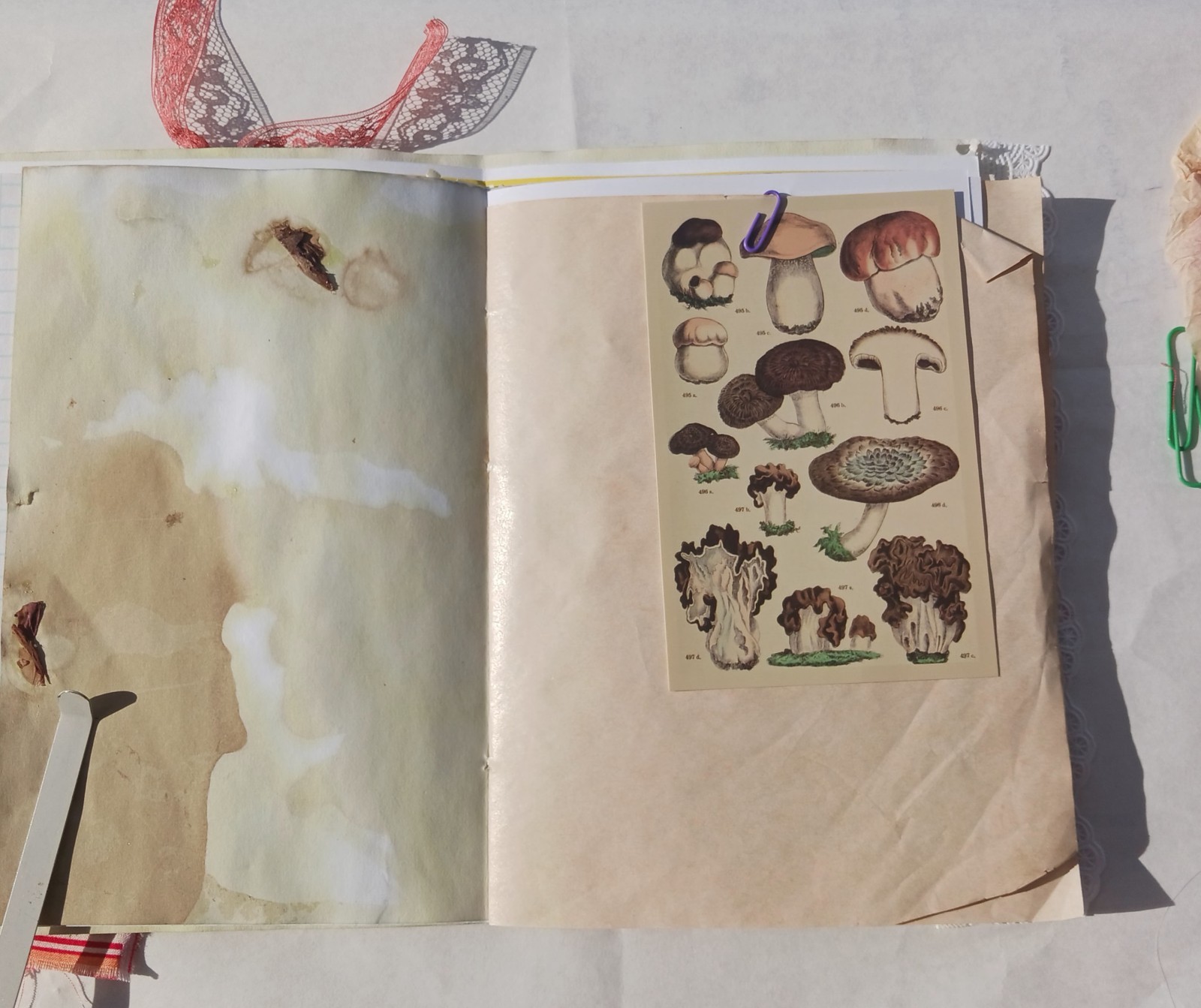 Garden Themed Junk Journal Soft Cover 50 pages