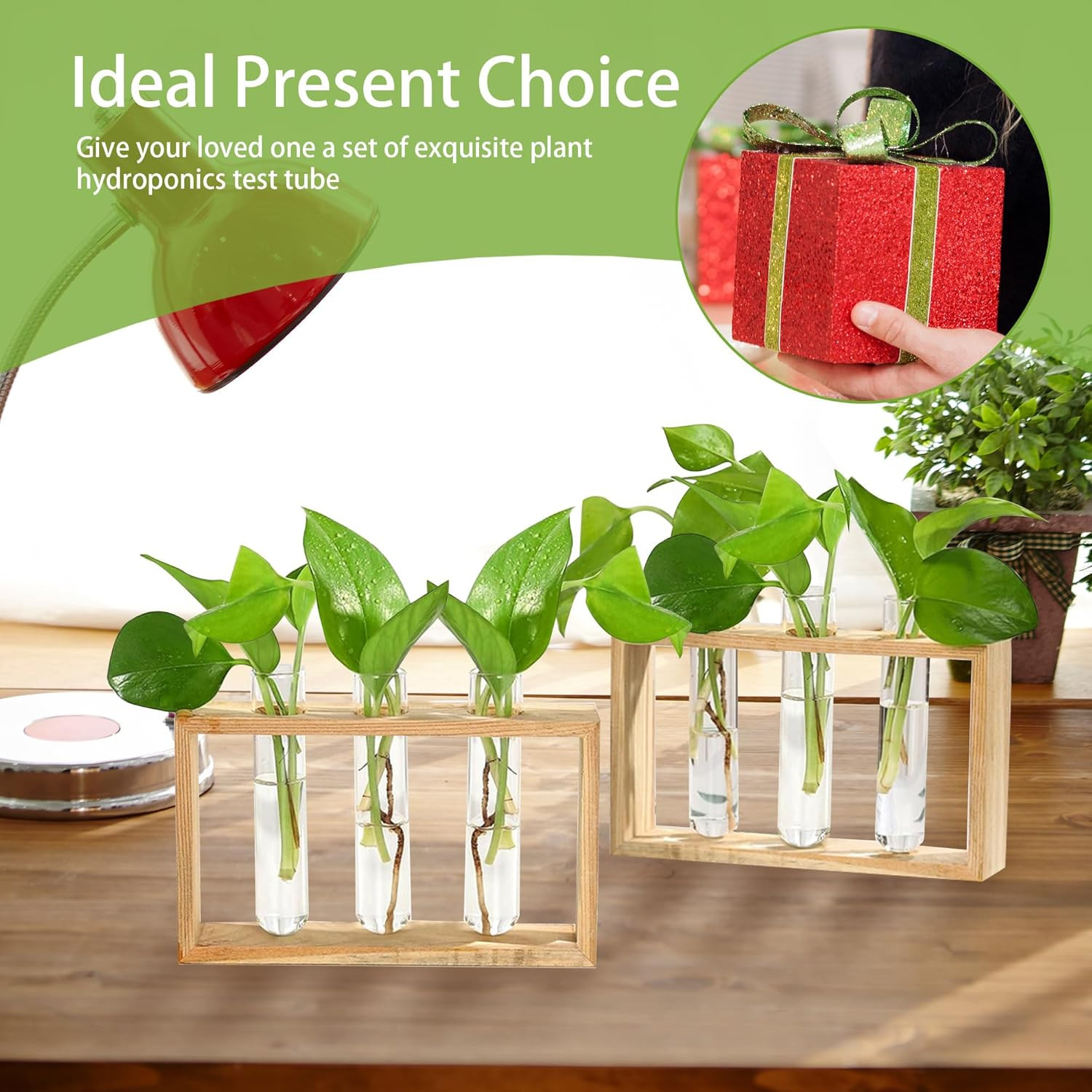 20 Pcs Clear Test Tubes for Plants Acrylic Plant Propagation Tube with Brush Pla