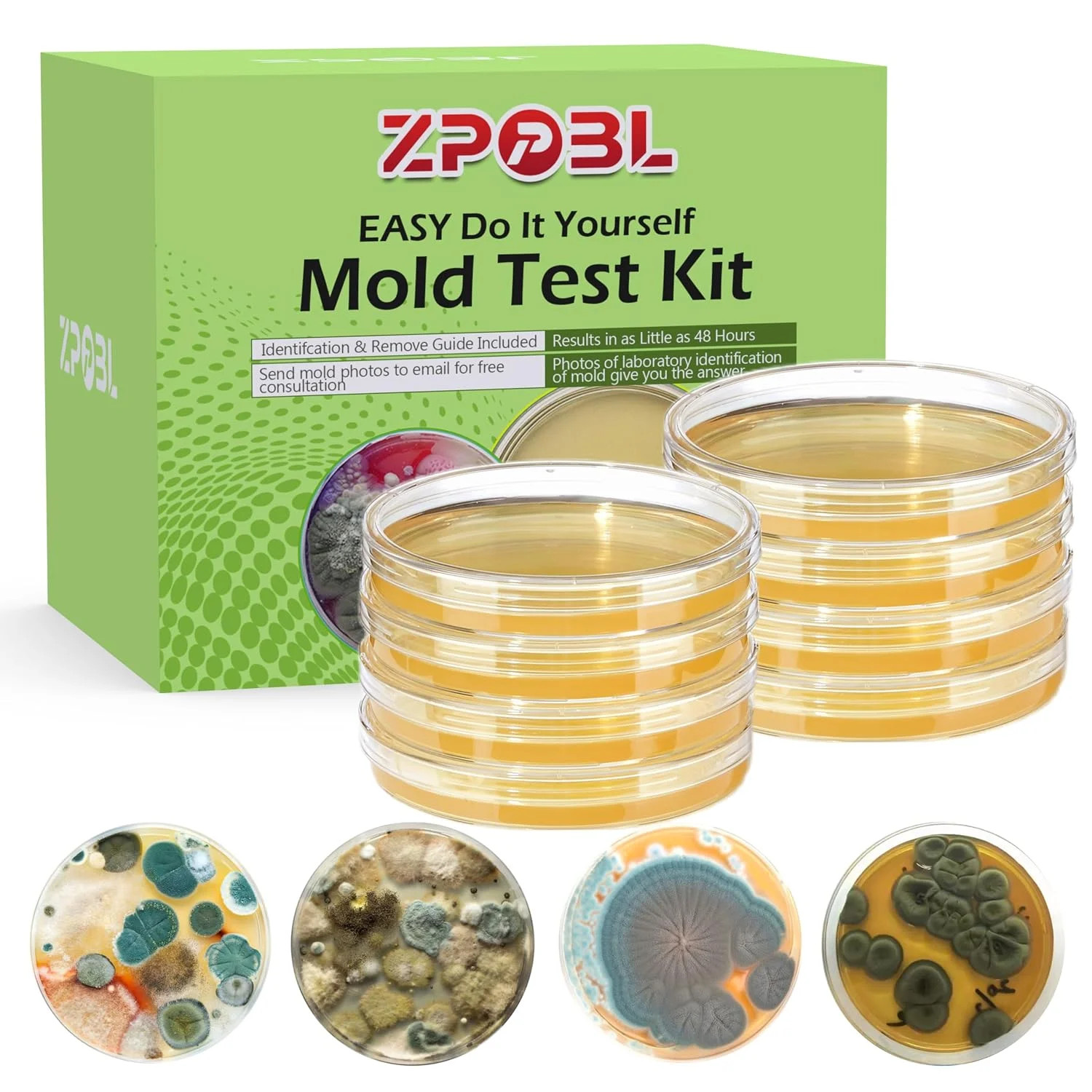 Mold Test Kit for Home, 4 Detection Tests for HVAC, Surfaces & Indoor Air Qualit