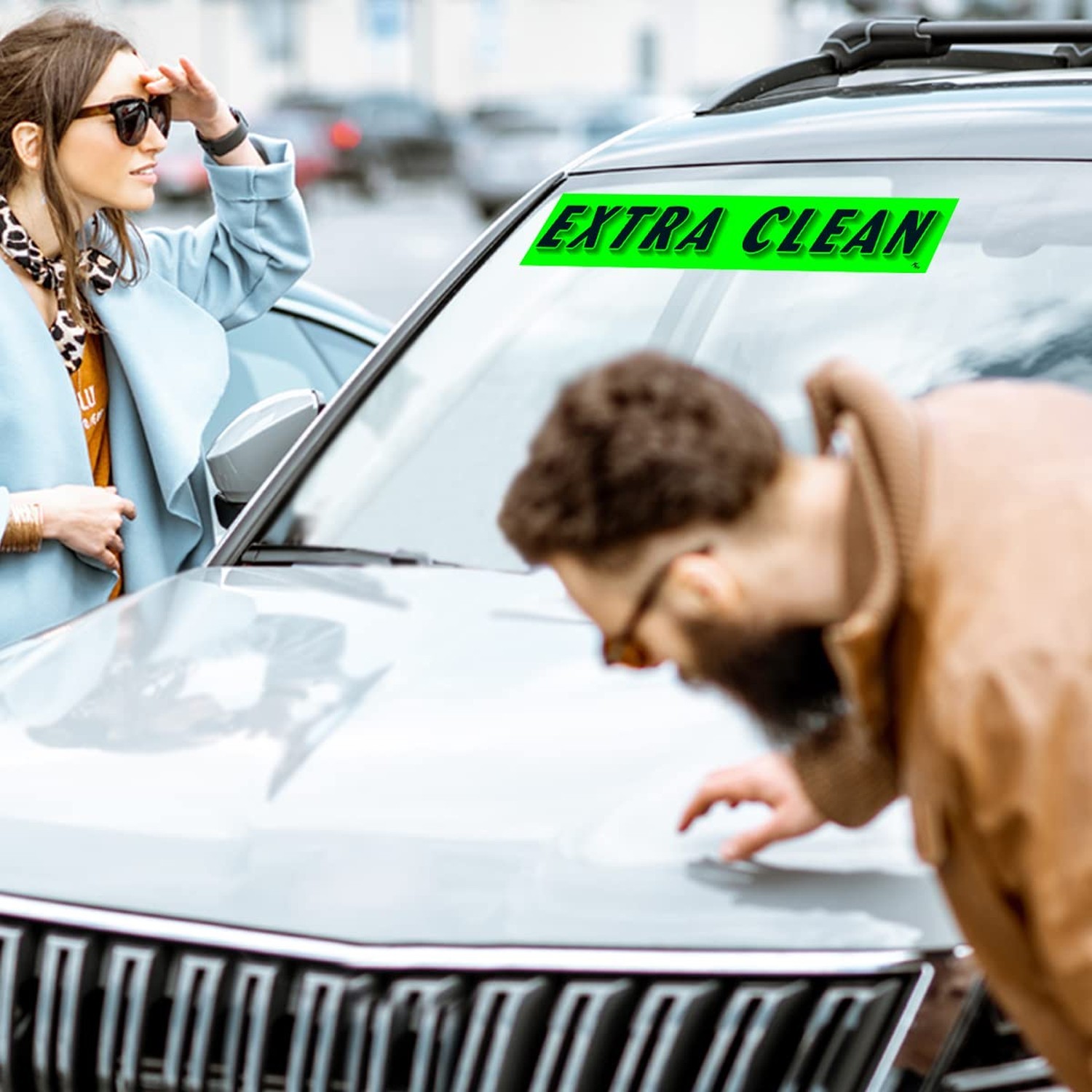 Versa-Tags Chartreuse Green Vinyl Slogan Stickers – 12-Pack for Car Dealer Wi…