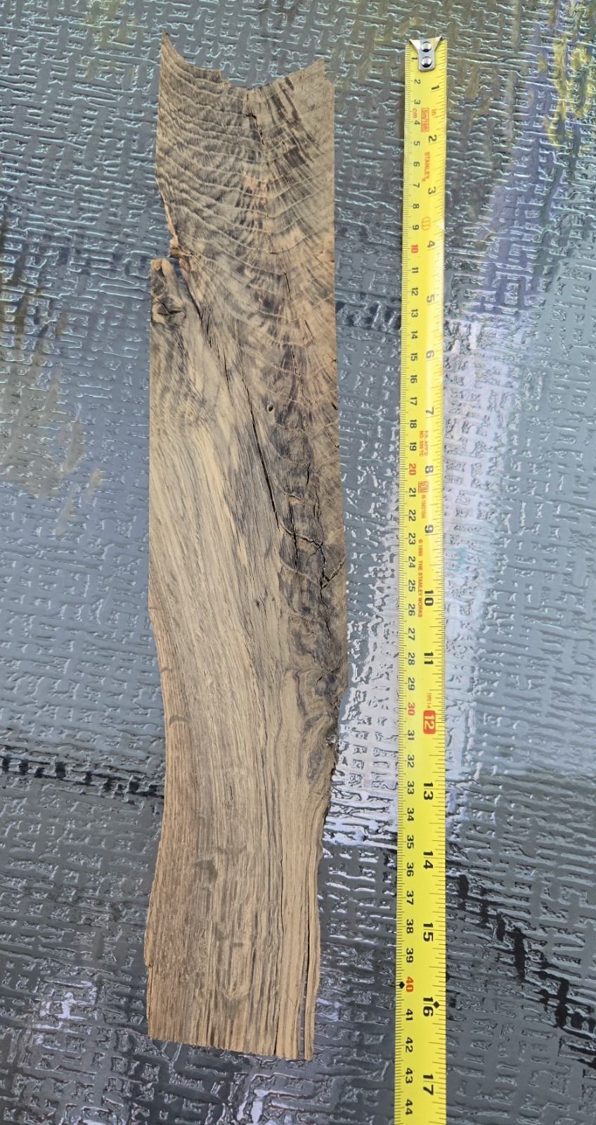 Rare Crotch Walnut Veneer Sheet 16″x3″ Feather Figure Luthier Woodworking