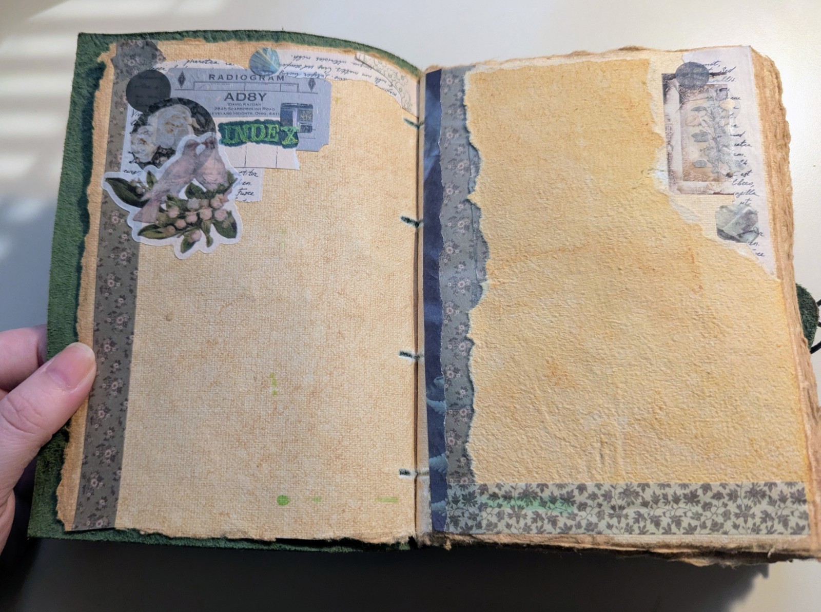 Undated 15 Month Planner Journal In Nature Green Floral Unique