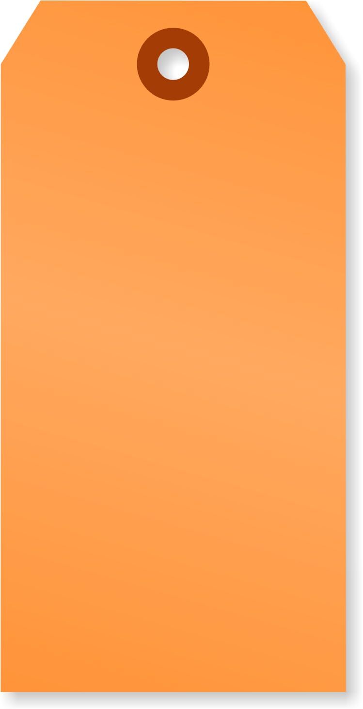 Fluorescent Orange Blank Tags with Pre-Punched Hole – 100-Pack 4.75″ x 2.375″…