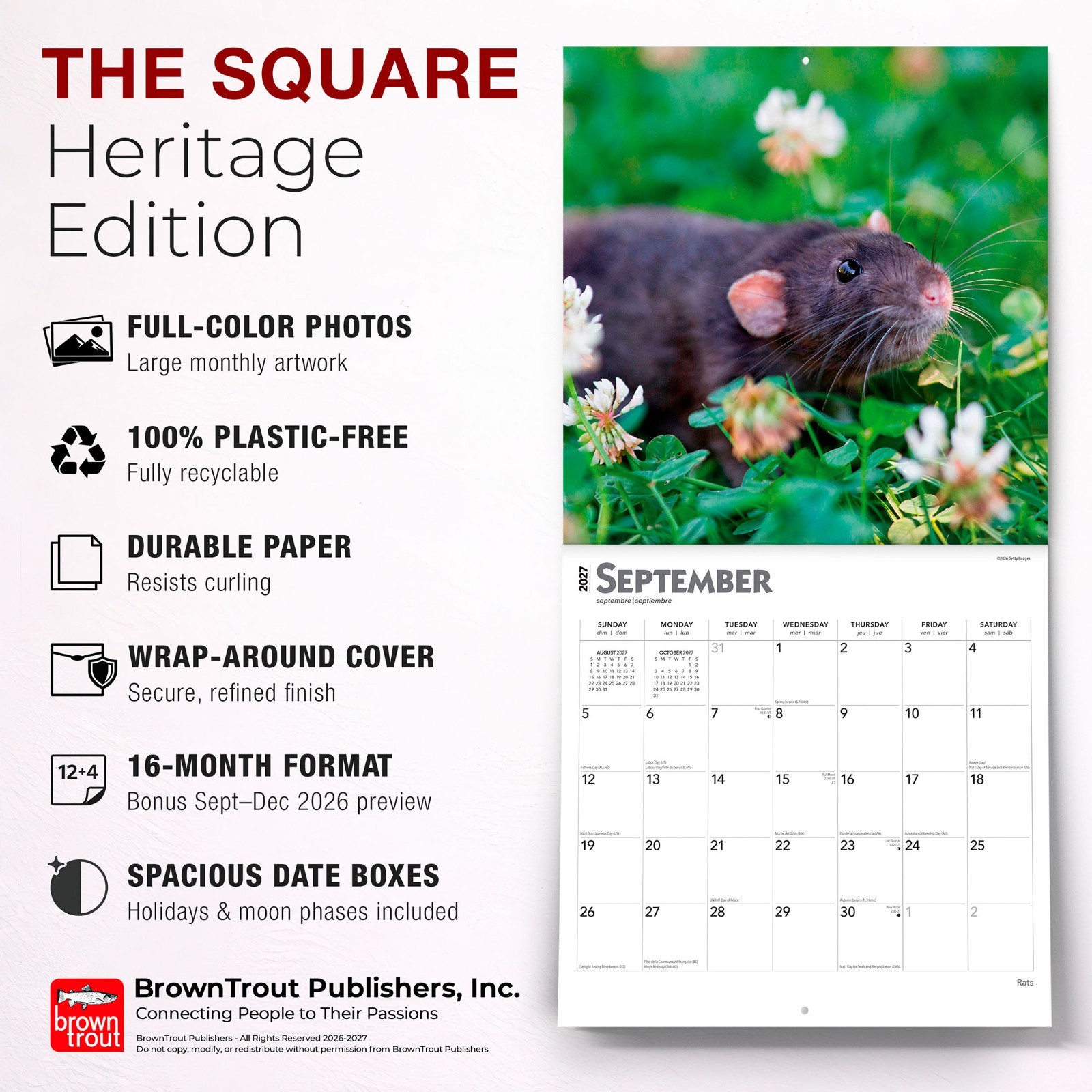 Rats | 2027 12×24″ (Hanging) Monthly Square Wall Calendar | Plastic-Free