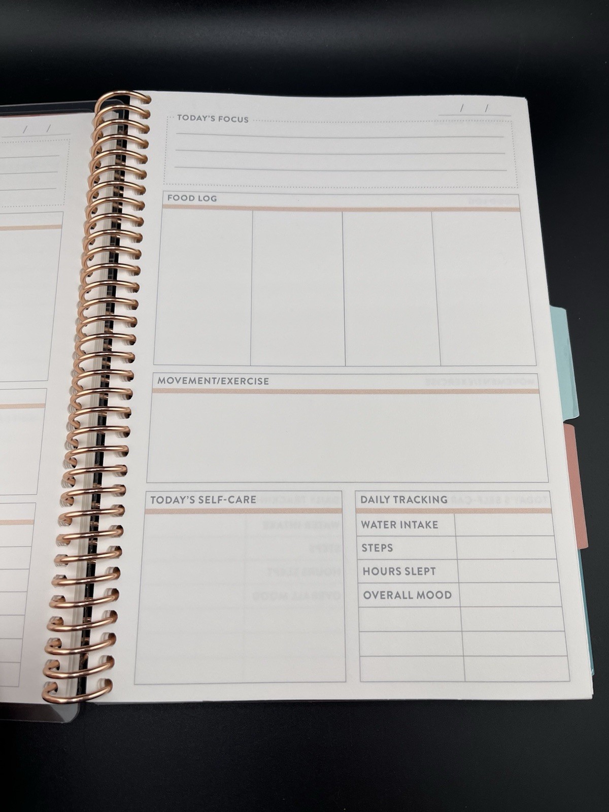 Erin Condren Pink Coiled Daily Wellness Journal You Have What It Takes Planner