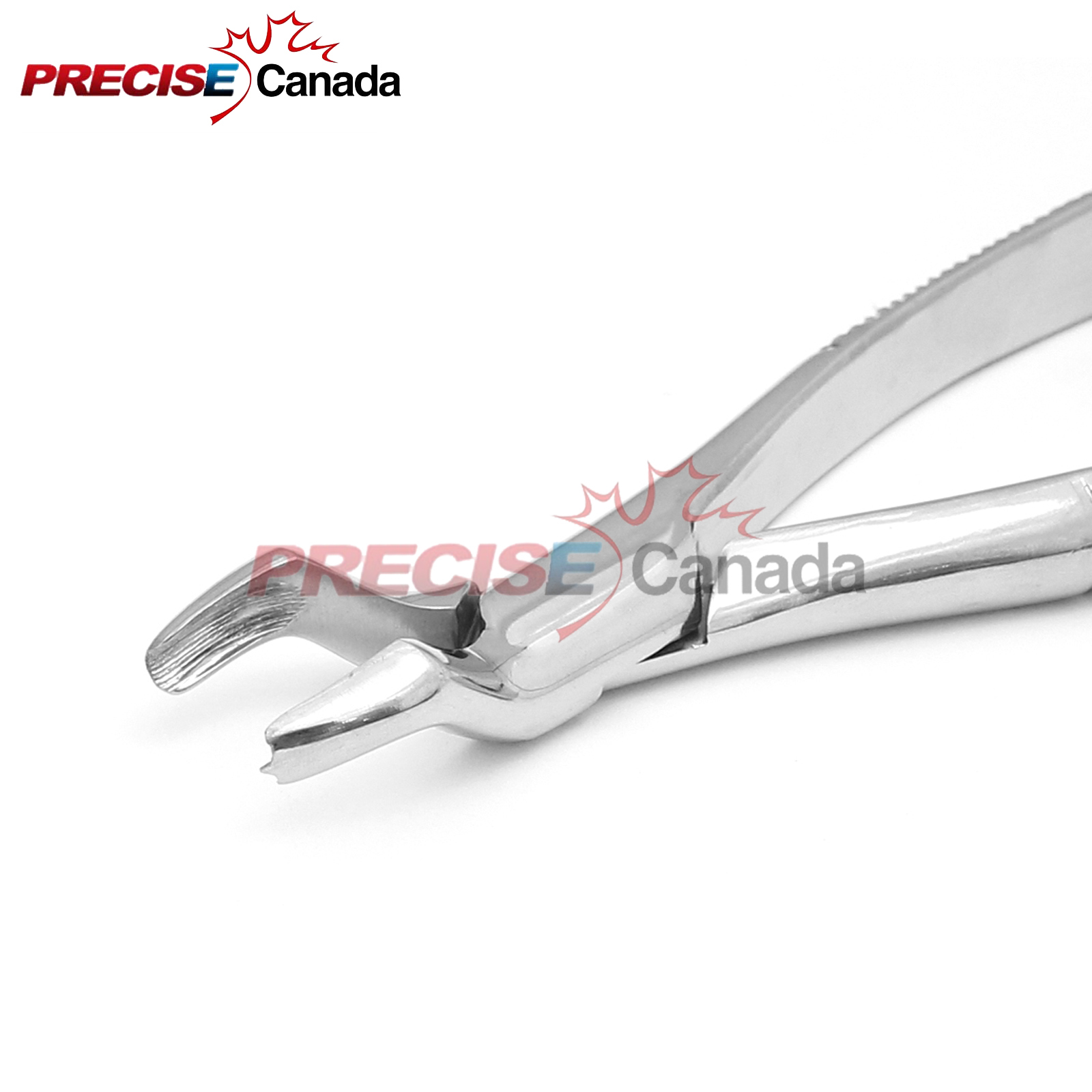PRECISE CANADA PEDO Dental Surgery Tooth Extracting Forceps# 53L