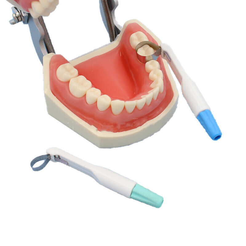 Dental Adjustable Metal PRO Matrix Bands Matrices Clamp Molar/Premolar 4.5m 6mm