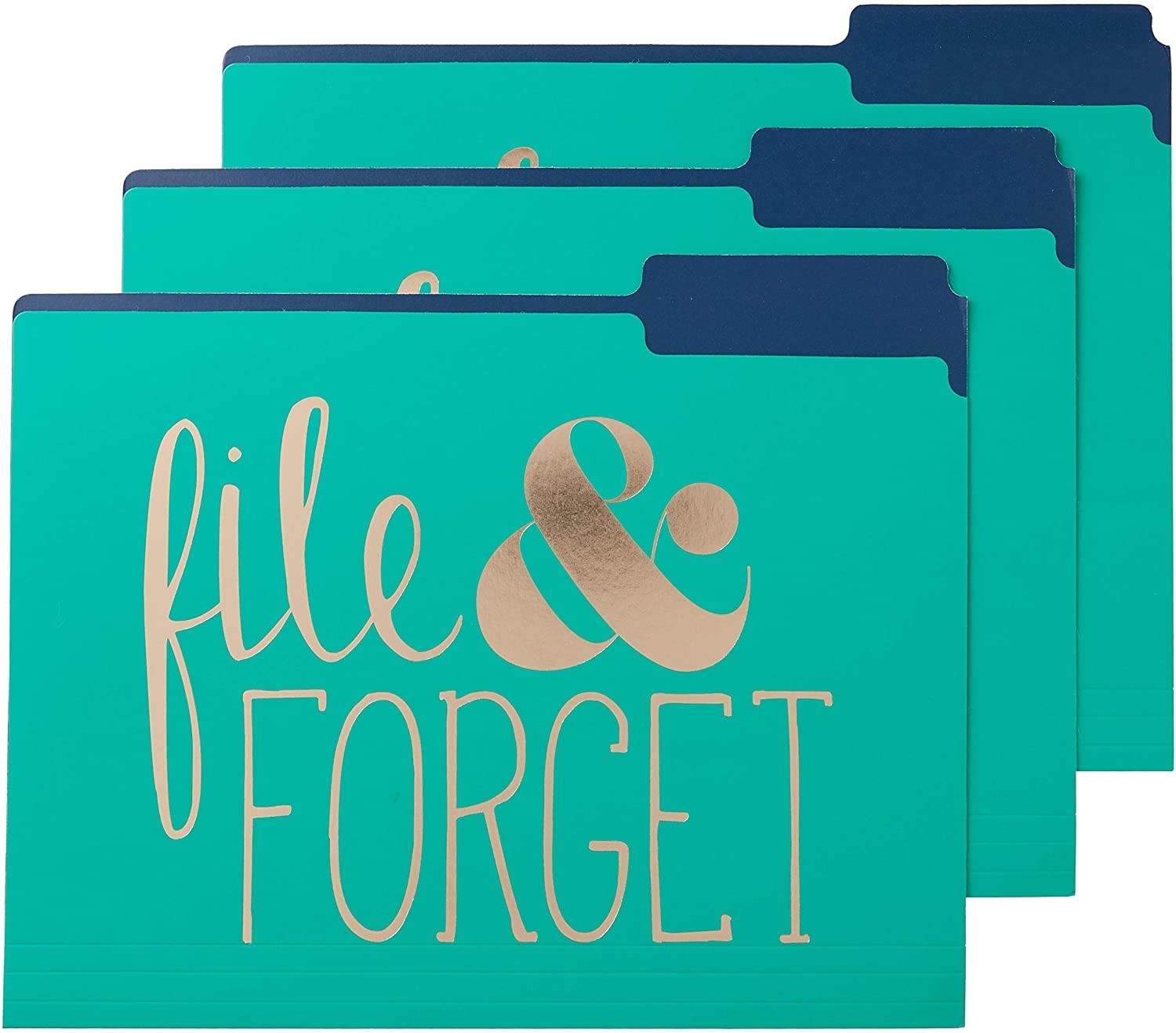 Decorative File Folders Set of 9 Gold Brilliant Thoughts Good Ideas