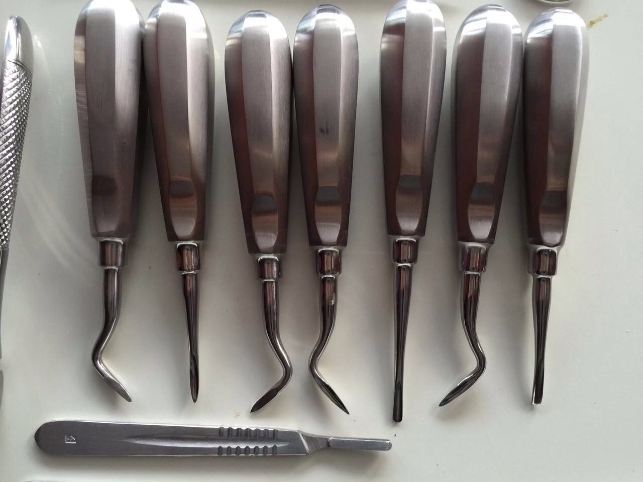 32 Pcs ORAL DENTAL EXTRACTION SURGERY EXTRACTING ELEVATORS FORCEPS INSTRUMENTS