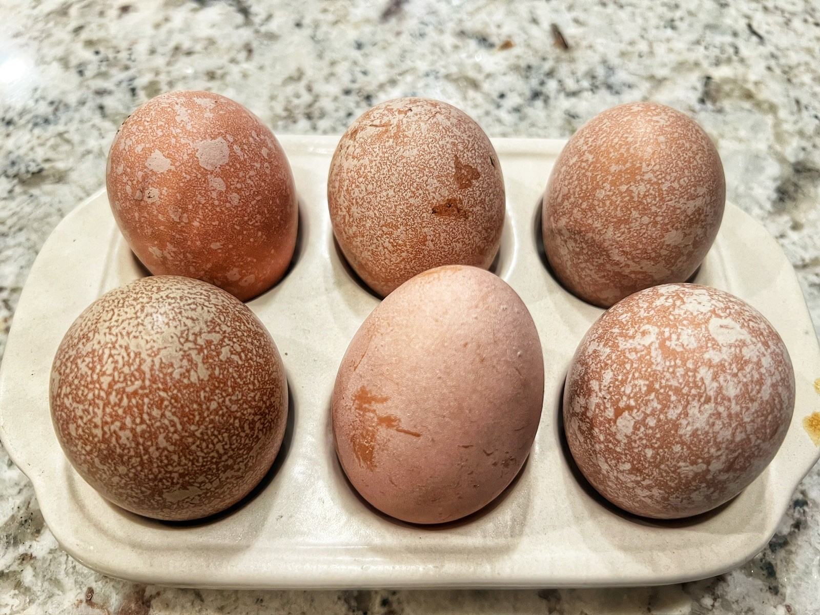 🐣✨ 12 Rainbow chicken hatching eggs| Healthy Flock – NOT Barnyard Mix🐣✨