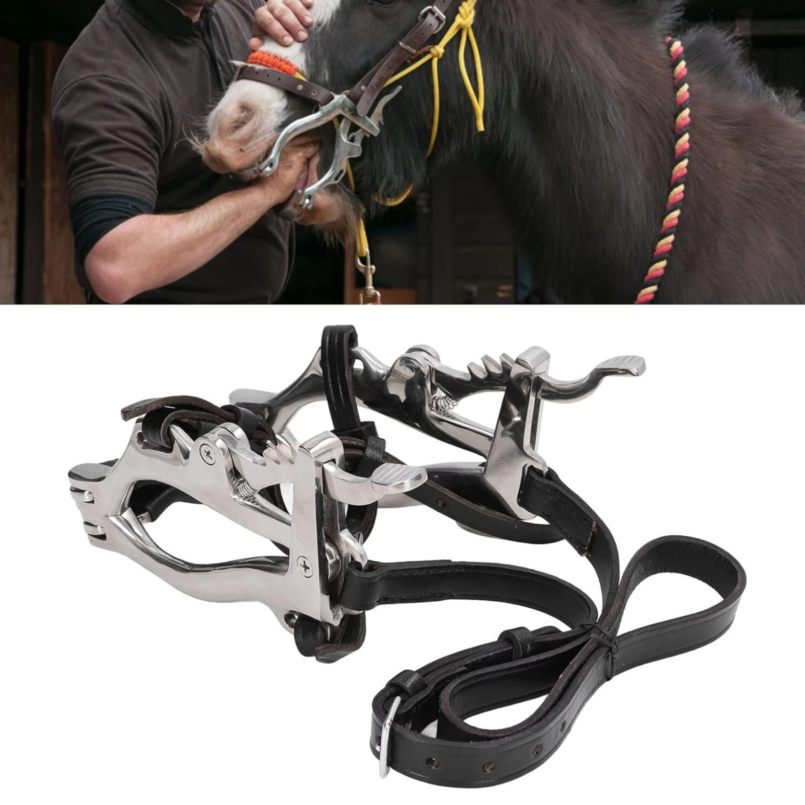 Equine McPherson Speculum Horse Mouth Gag Stainless Steel Dental Vet Tool