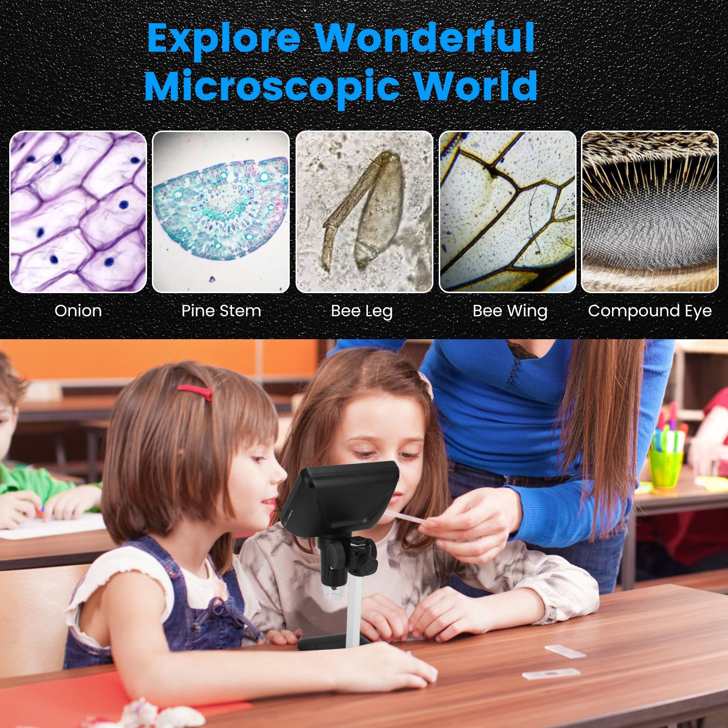 4.3In 1080P LCD Digital Microscope Photo Video Magnifier Dimmable LED Lights US