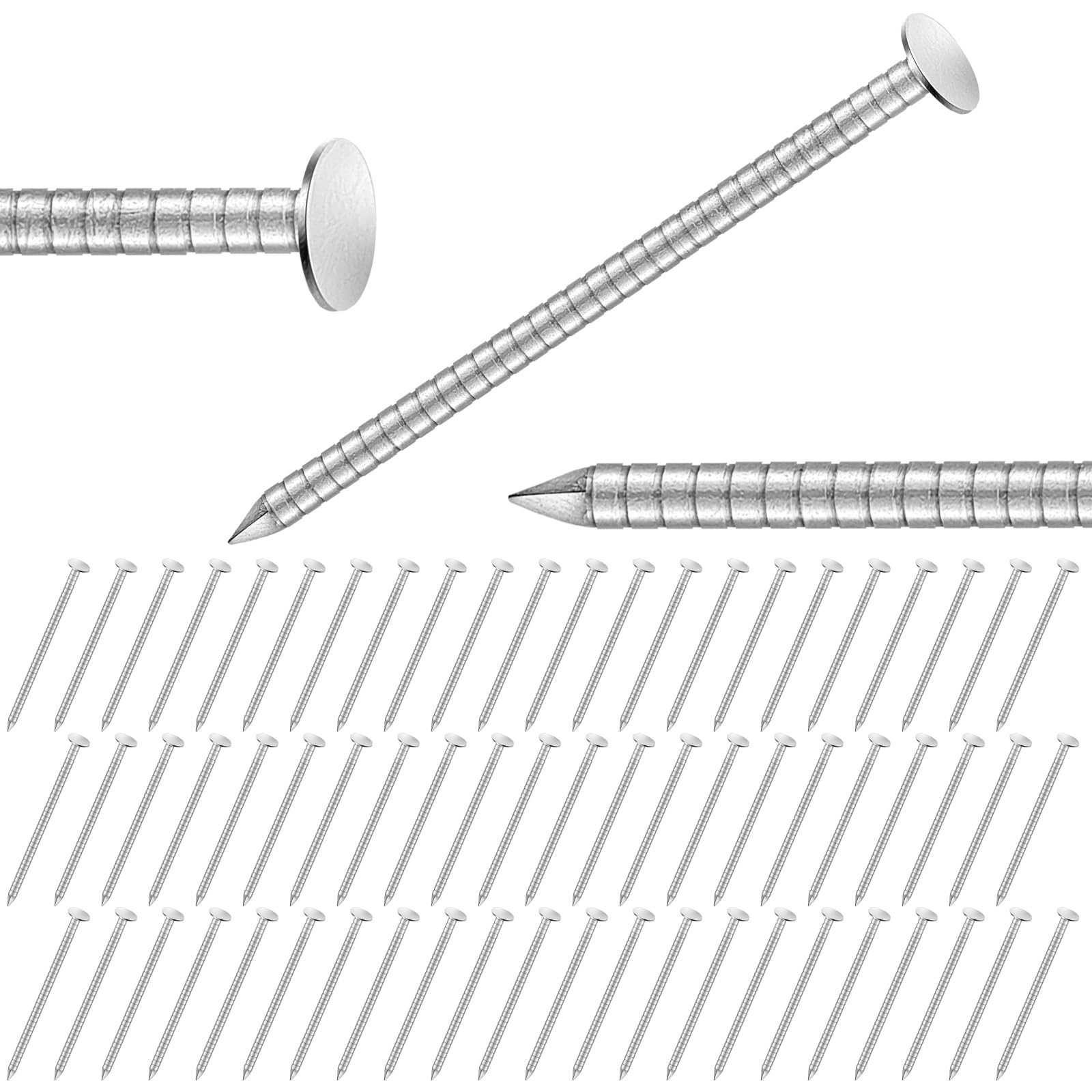 1-3/4 Inch 2 Pounds Roofing Nails 304 Stainless Steel Roofing Felt Nails Flat…