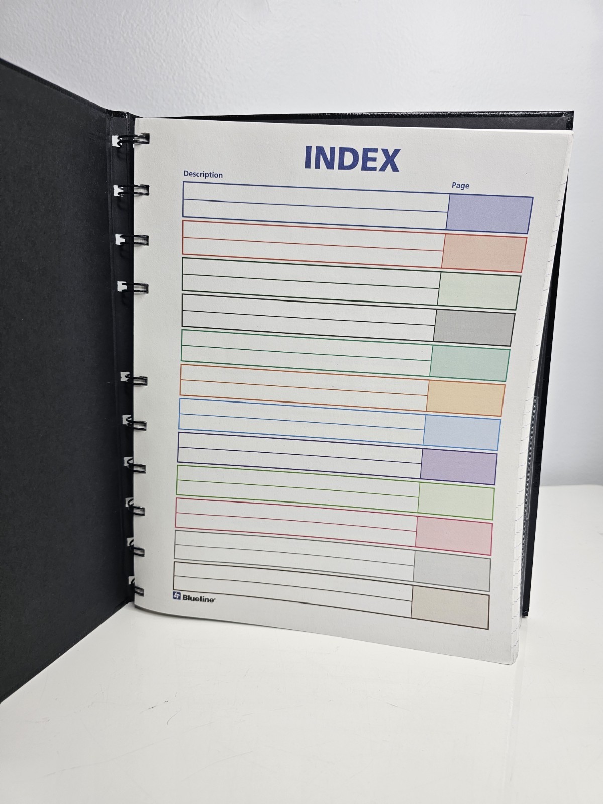 Daily Planner, Undated, Blueline NotePro, 10.75″ x 8.5″, 200 Pages