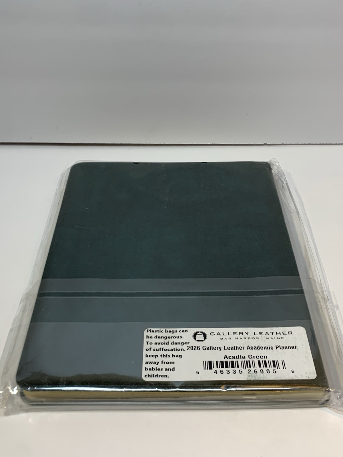 Gallery Leather 2026 Academic Planner Weekly Format Monthly Section Green NEW