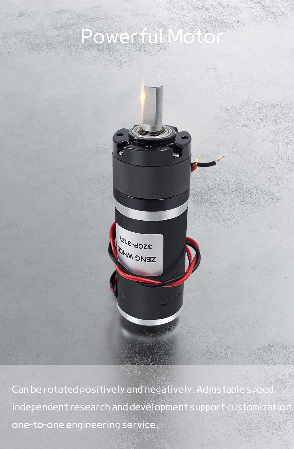 Motor DC 12V24V Forward And Reverse Speed Regulation 32GP-31ZY Planetary Brushed