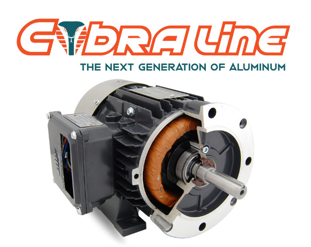 Techtop Cobra Electric Motor 10 HP 1800 Rpm 1-PH 230 Volt 215T Frame