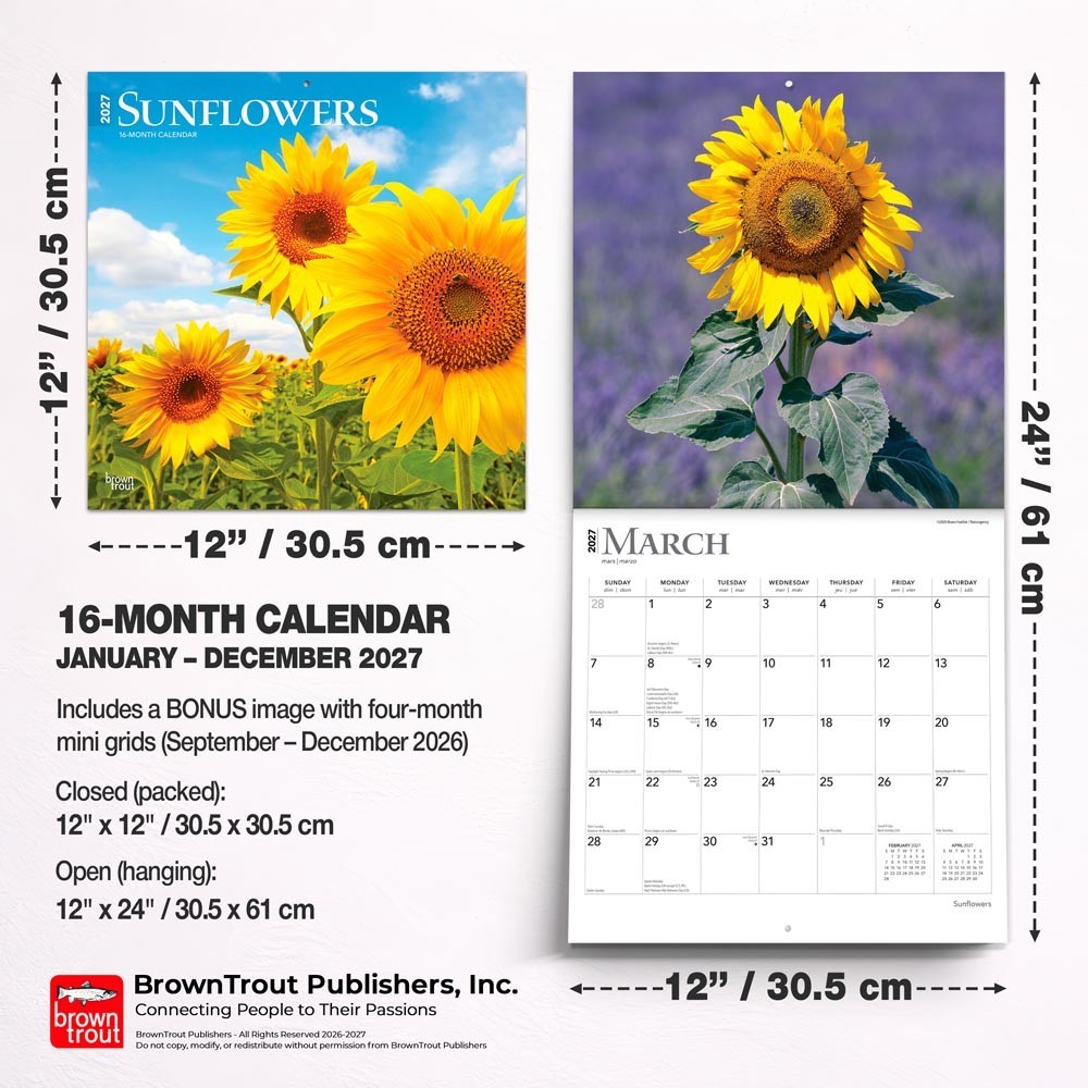 Sunflowers | 2027 12×24″ (Hanging) Monthly Square Wall Calendar | Plastic-Free