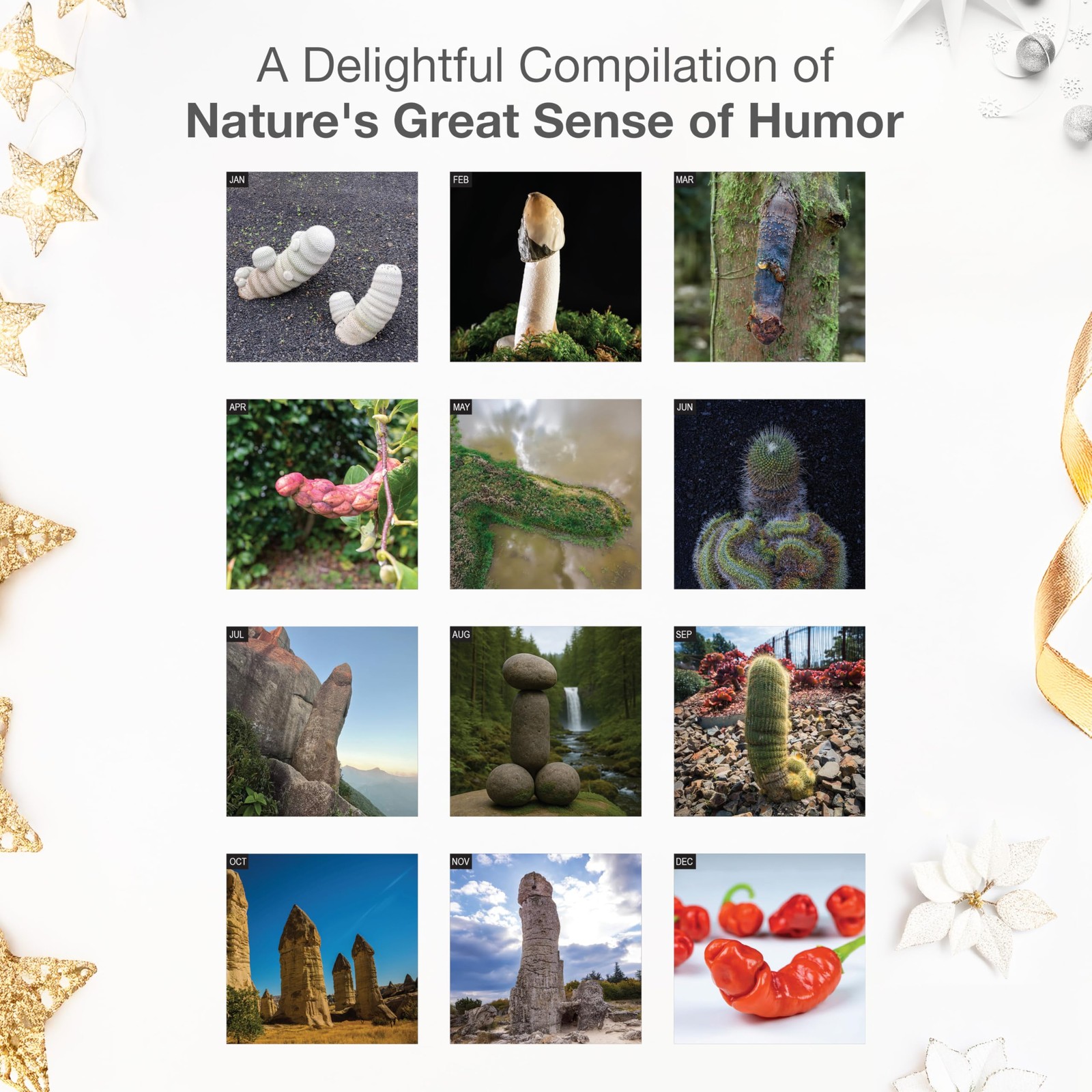 RED EMBER Funny D’ck Pics in Nature New 2026, 09 2026