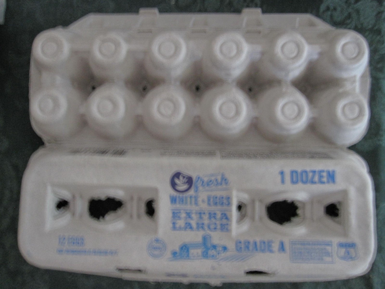 Egg Cardboard Cartons Lot of 12 Clean Various Sizes Large, XLG &Jumbo