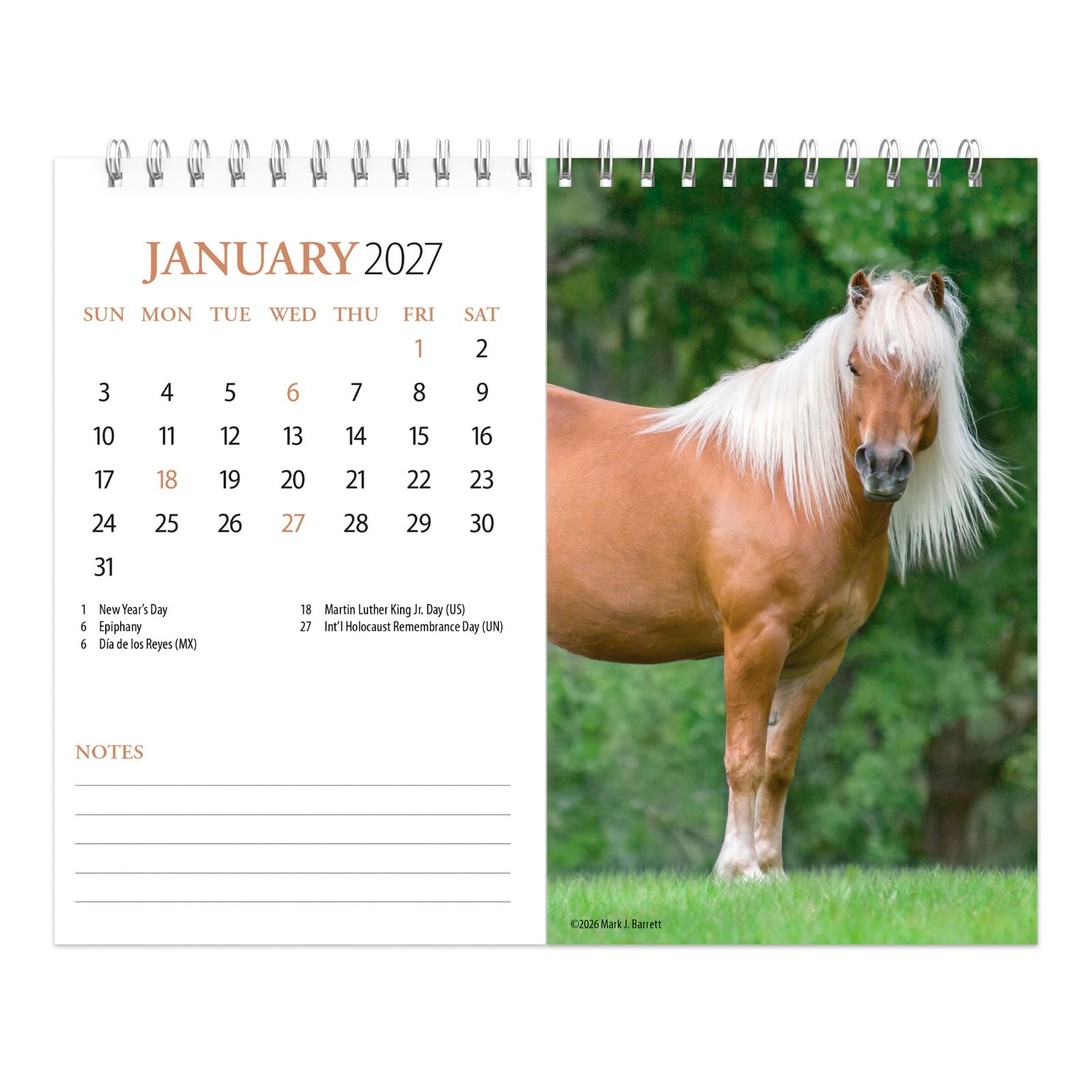 Horse Lovers | 2027 7.5×6″ Monthly Double-View Easel Desk Calendar