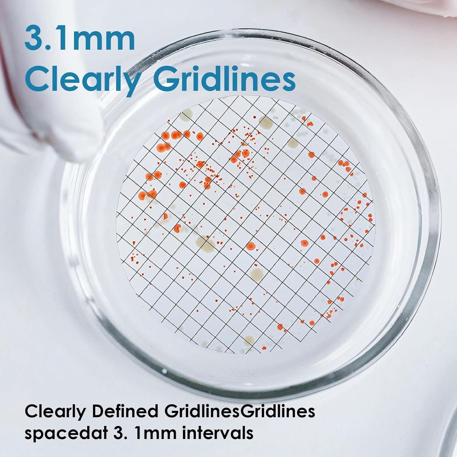 MCE Gridded Membrane Filters, 47mm Diameter, 0.22 um 0.45 μm Pore Size, STERILE
