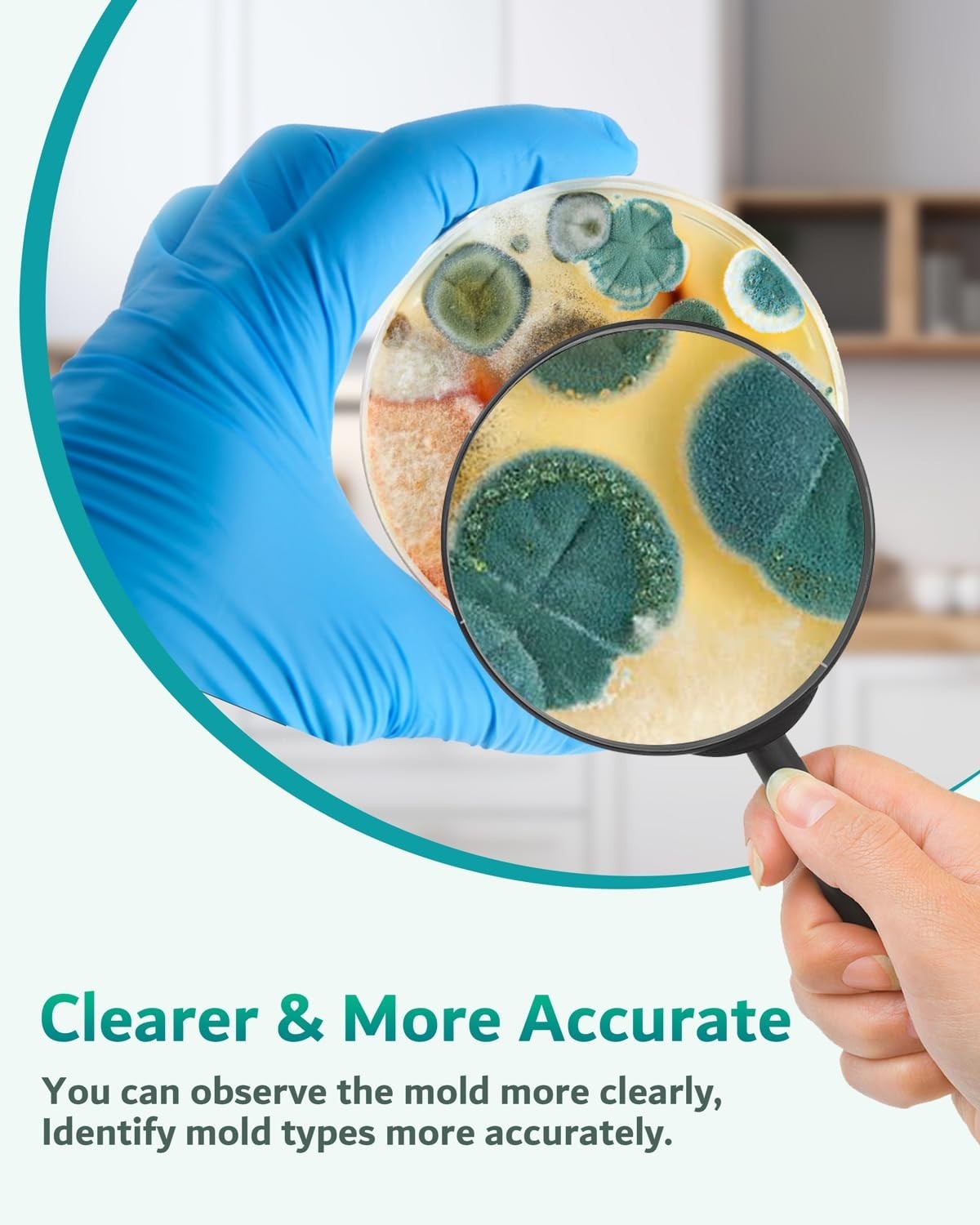 Mold Test Kit for Home Air: DIY Mold Detector with 5 Simple Detection Tests -…