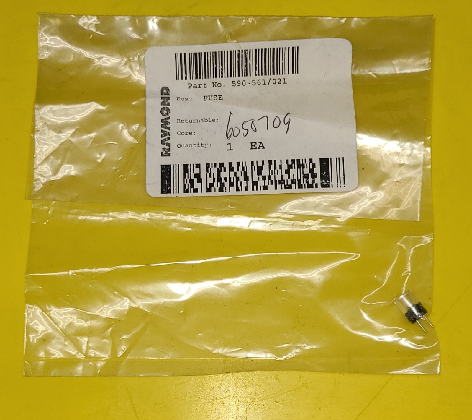 OEM Raymond 590-561/021 Fuse (2 Amp)