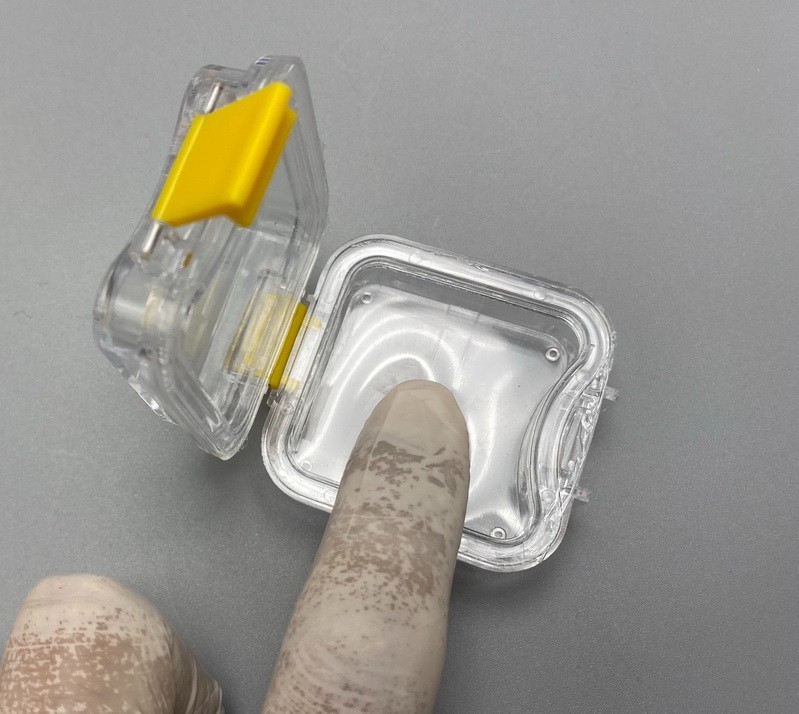 20pcs Denture False Teeth Membrane Case Container Hinged Display Box Jewelry USA