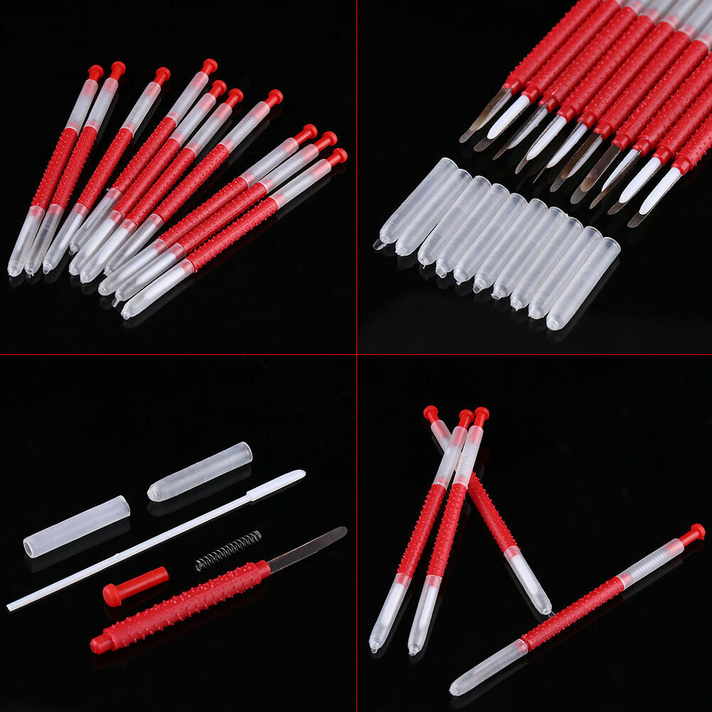 10PCS Beekeepers Bee Grafting Retractable Beekeeping Tool for Queen Rearing Kit