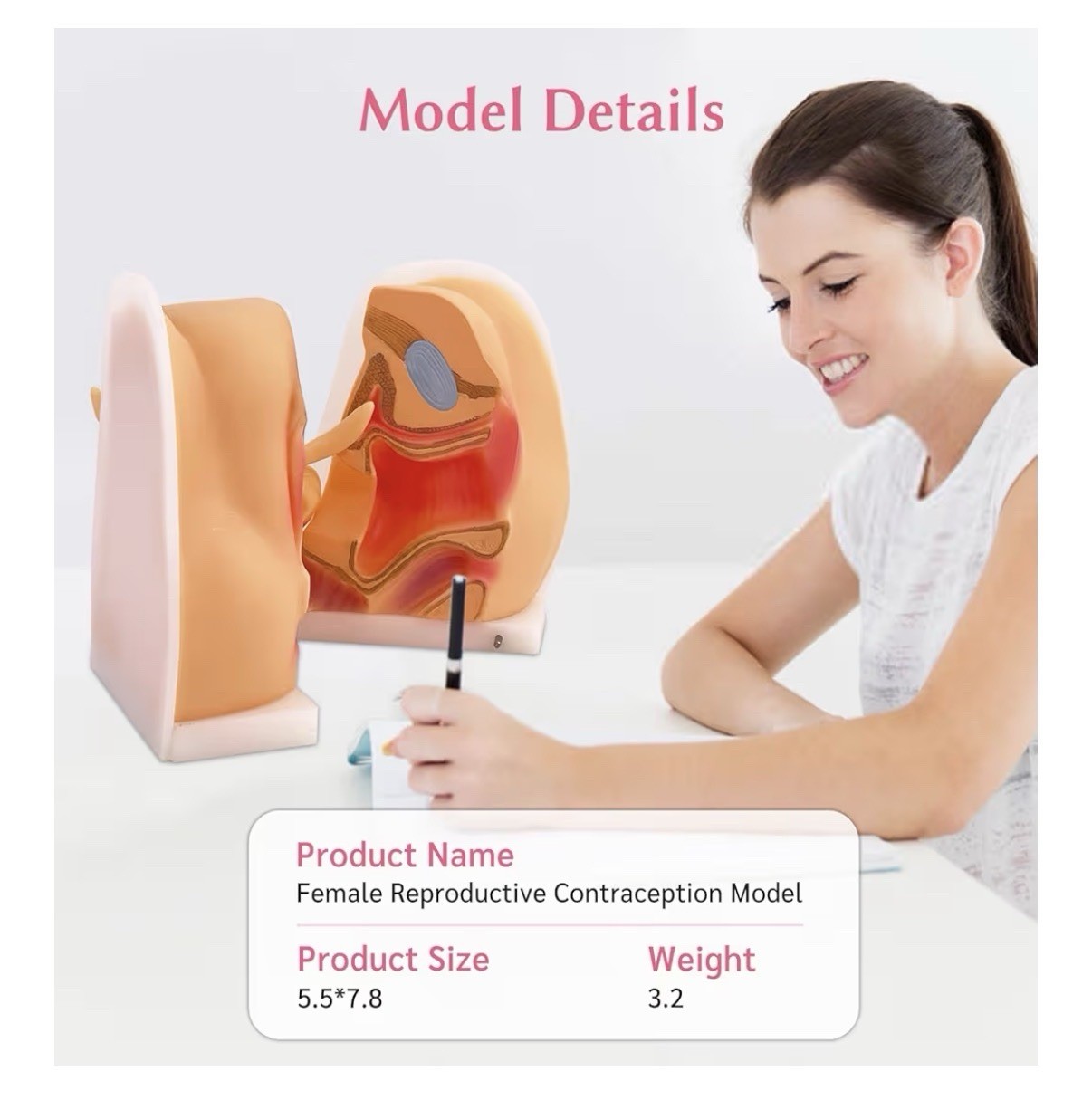 JNMFTD Anatomicals Female Reproductive Contraception Model 5.5″x7.8″, 3.2 lbs