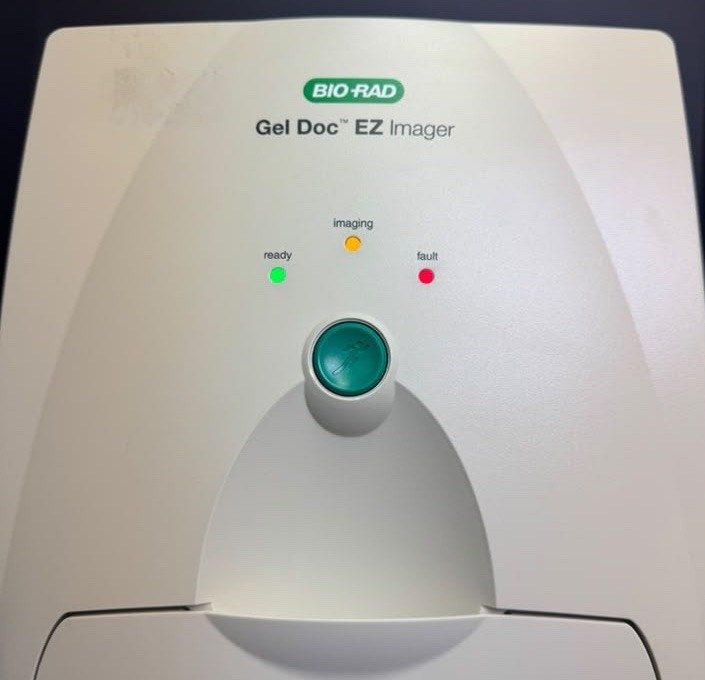 Bio-Rad Gel Doc EZ Imager Gel Documentation System w/UV, Blue Stain-Free Trays