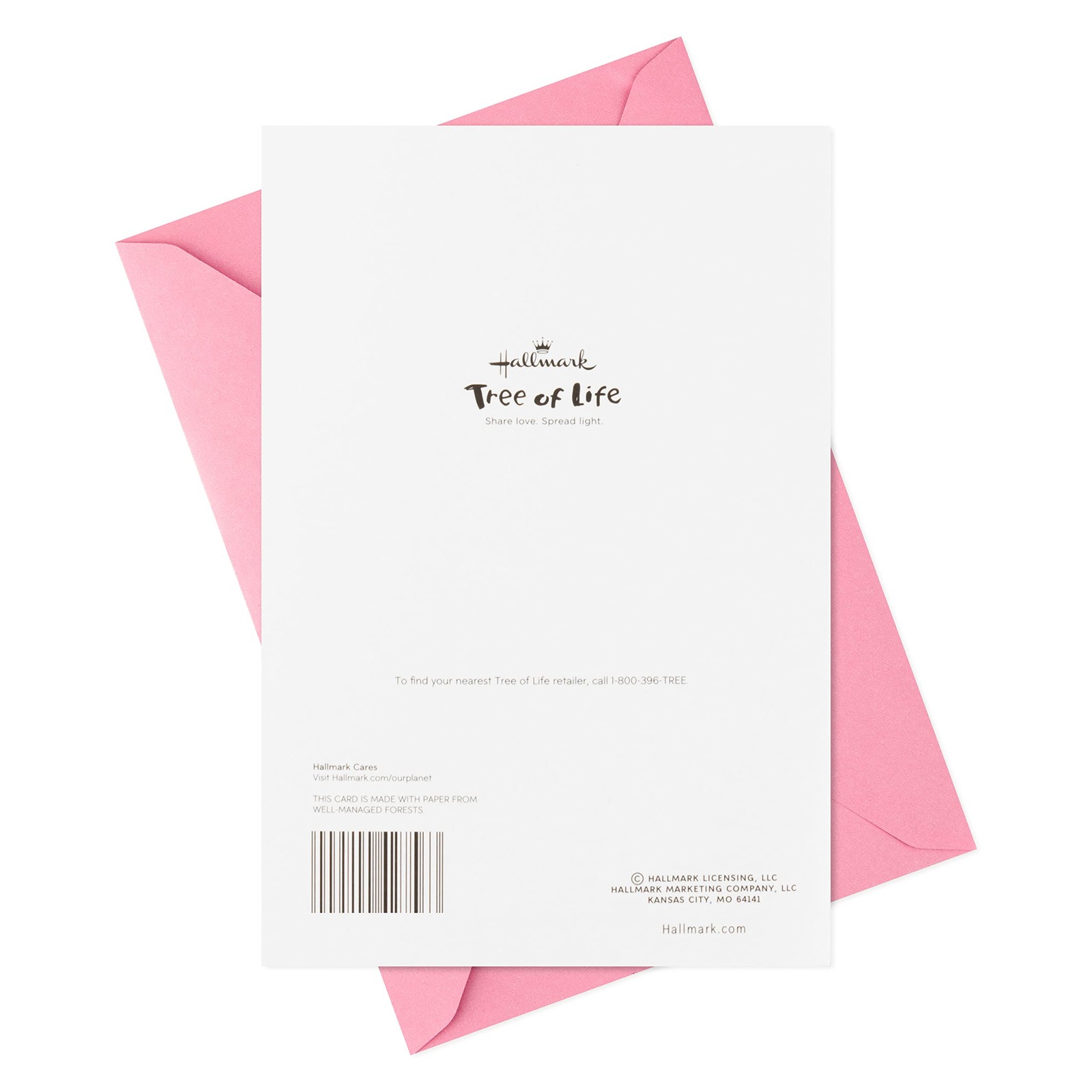 Hallmark Tree of Life Bat Mitzvah Card (Hamsa) 5.8 inches x 8.3 inches, Hamsa