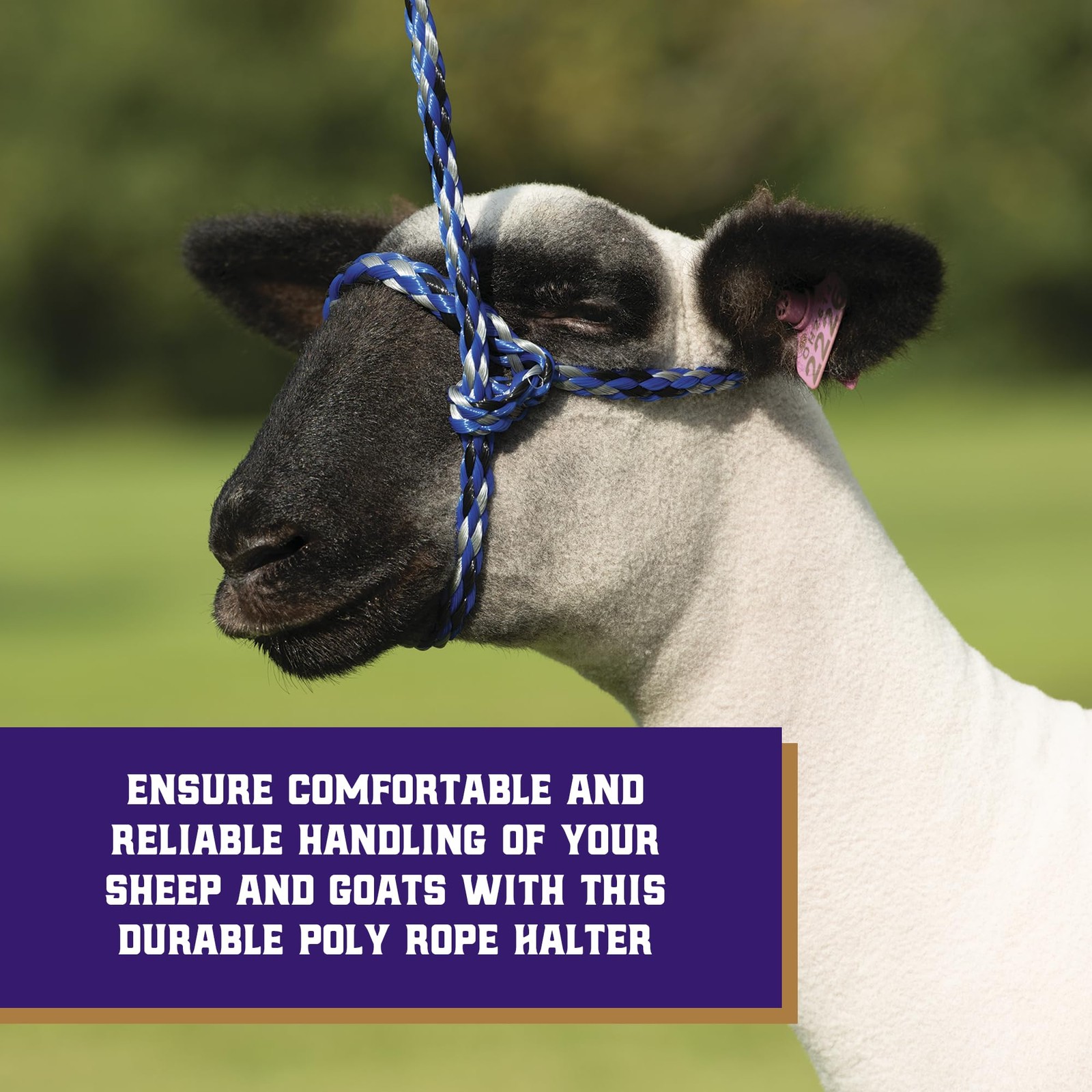 Weaver Livestock Poly Rope Sheep Halter, Modern 7/16″ x 4′, Blue/Black/Gray