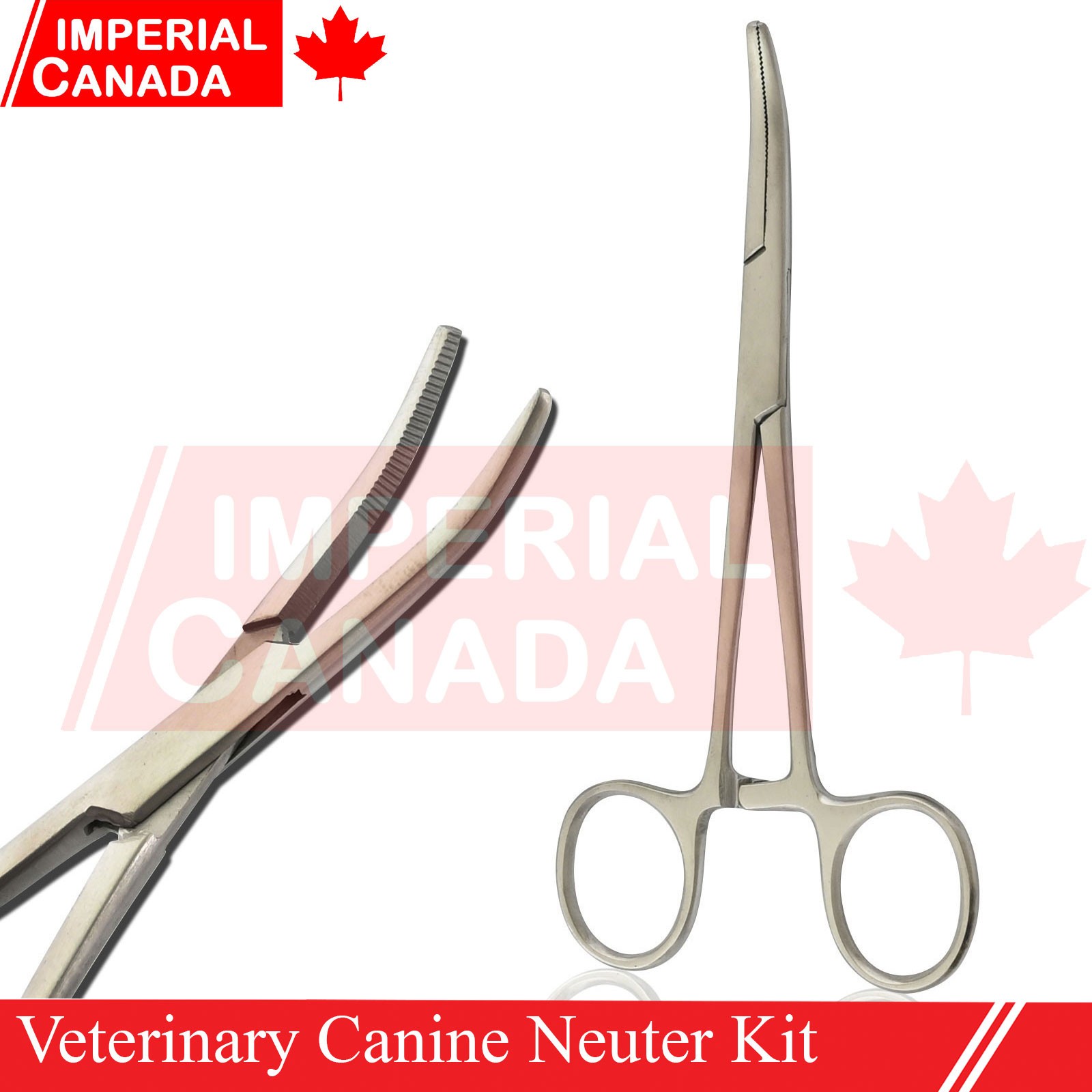 Feline Spay Pack Kit Contain Basic Surgery Instruments Set Surgical Econ DS-2240