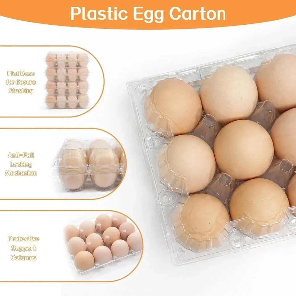 100 Packs Egg Cartons Cheap Bulk Plastic for 12 Eggs Clear Egg Cartons