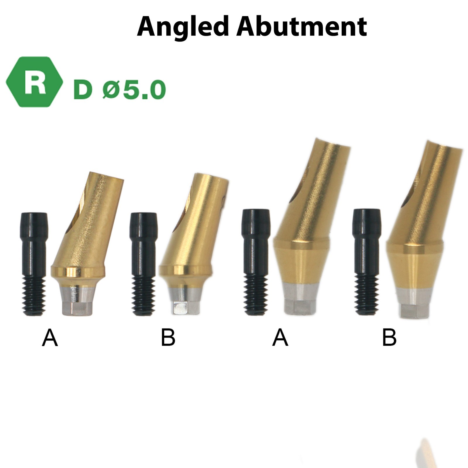 17° Angled Anatomic Abutment Regular Ø5.0mm For Hiossen Osstem Platform Implant