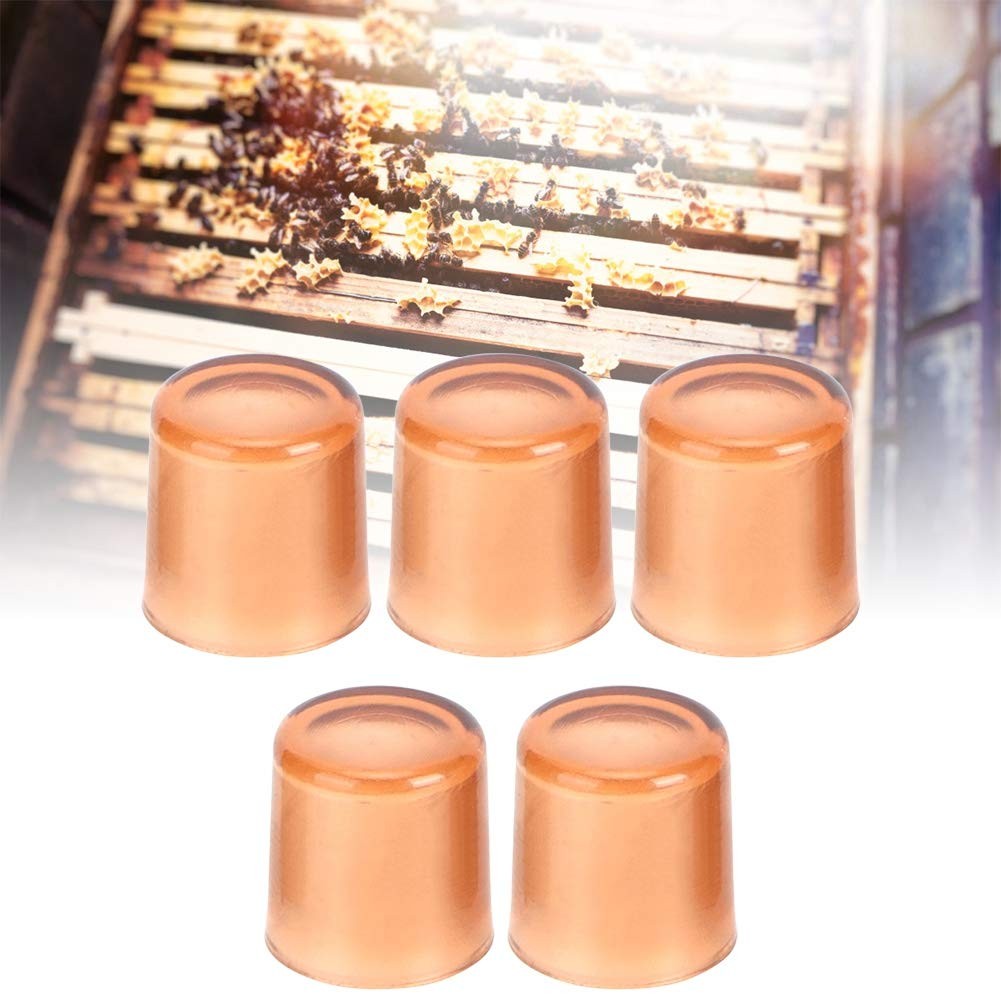 Tiiyee Queen Rearing Cell Cup Holders Honey Bee Keeper Grafting Kit Brown